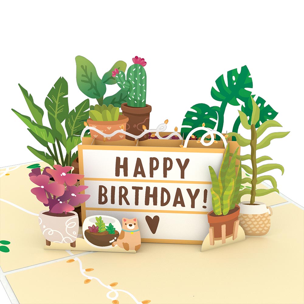 Happy Birthday Plants Pop-Up Card and Sentiment Set、mySite、solidvoid