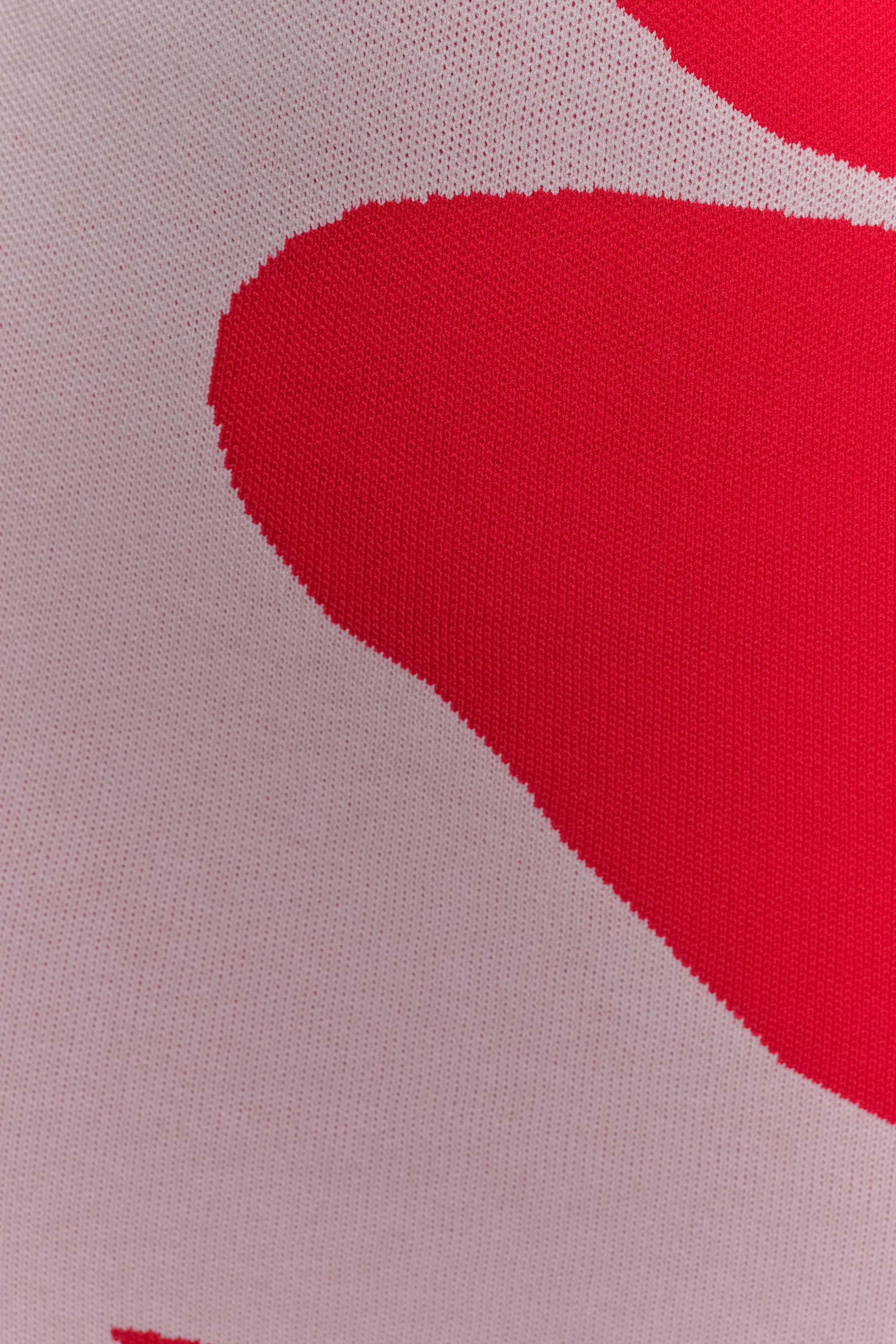 Dorothy Knit Print Mini Dress - Red Deco Fleur Print、mySite、solidvoid