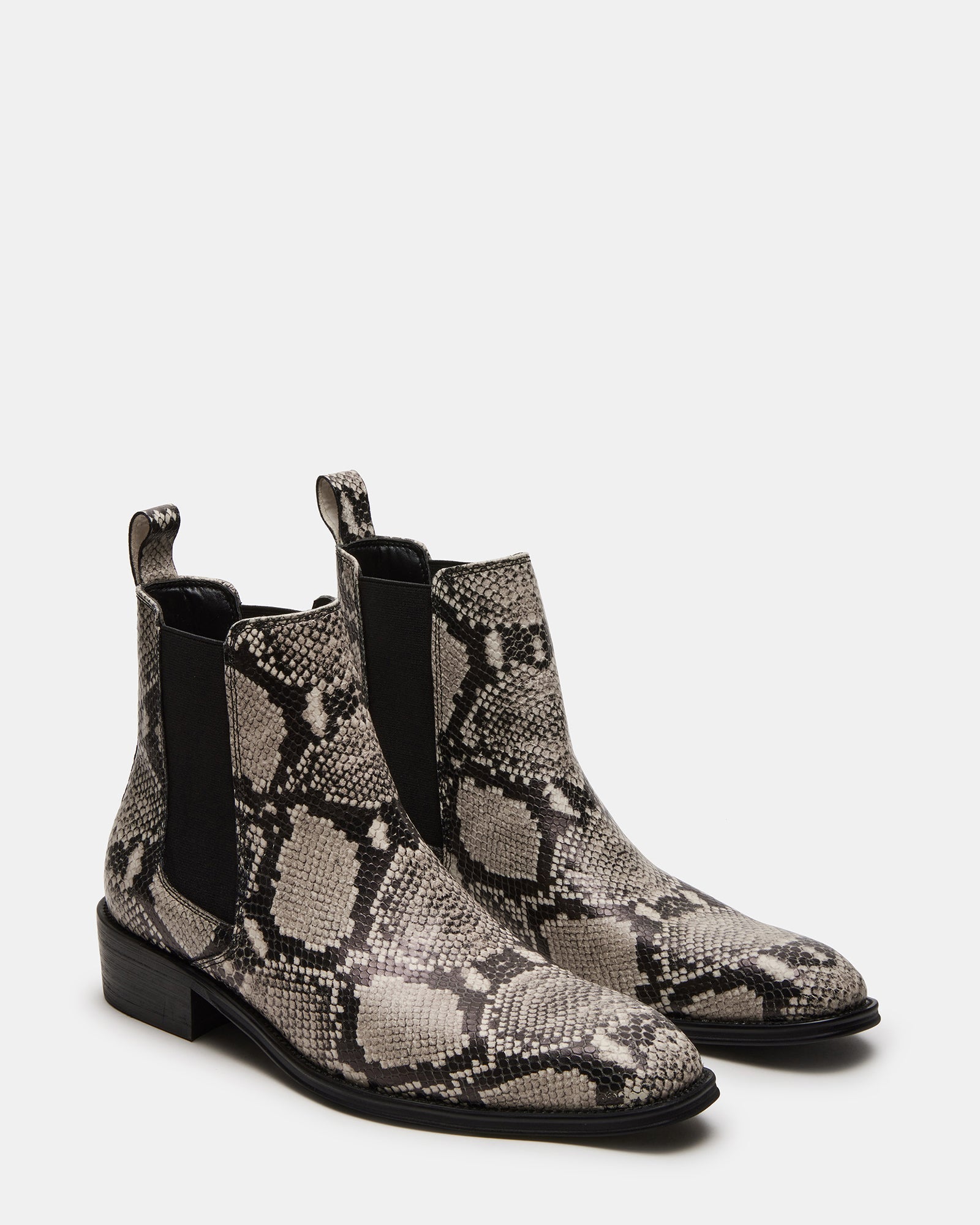 HARTE WHITE SNAKE - SM REBOOTED、mySite、gtrtttuynbv