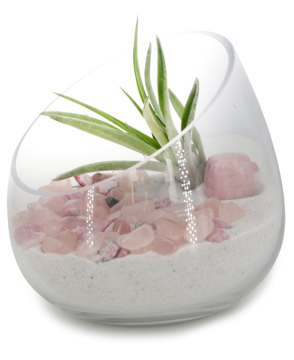 Rose Quartz And Rhodonite Healing Love Terrarium with Air Plant、mySite、topwebapps