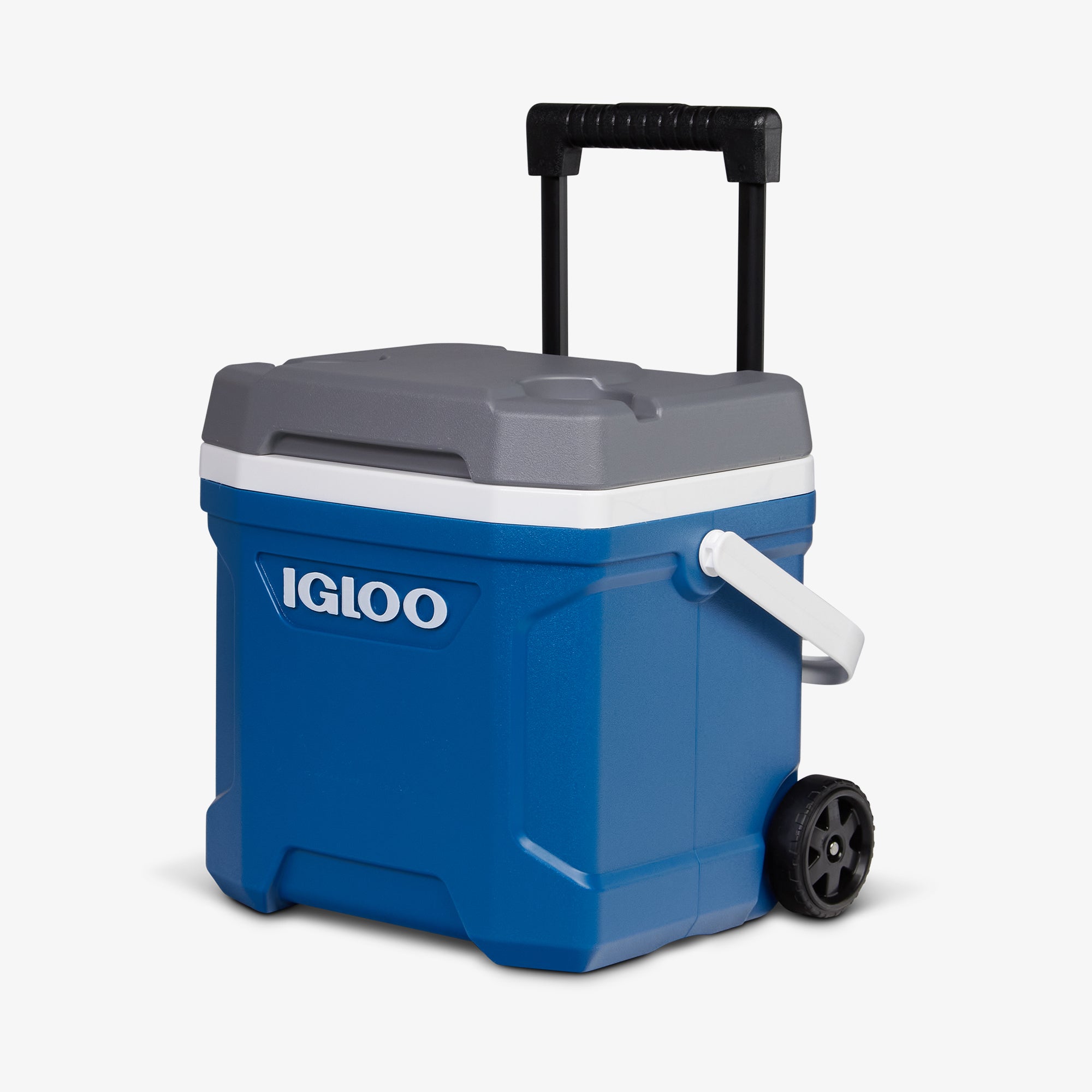 Latitude 16 Qt Roller Cooler、mySite、noshort