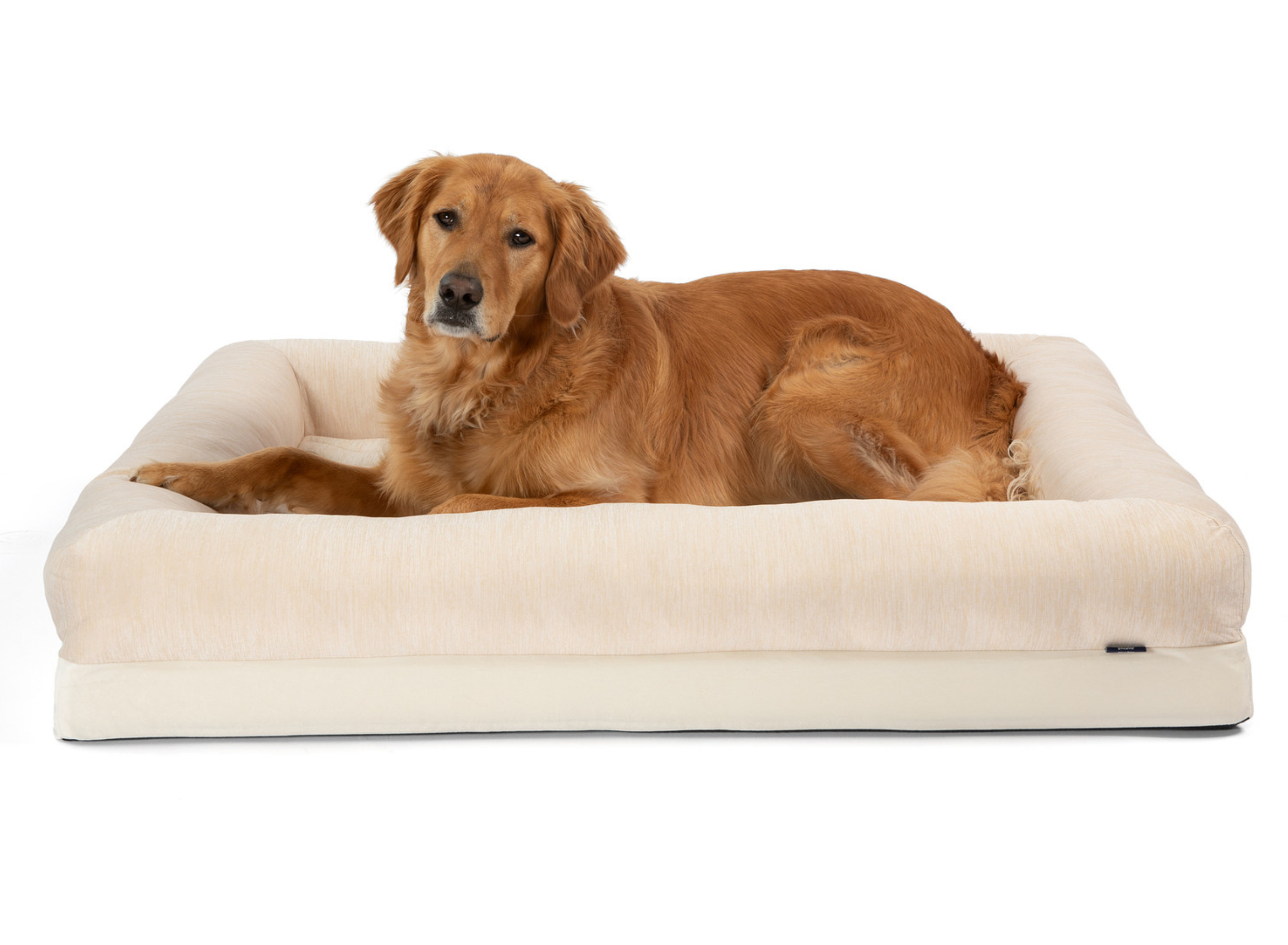 PupChill™ Cooling 4-Bolster Dog Bed - Arctic Sand、mySite、solidvoid