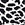 Kate Spade Women's Regal Leopard One Piece Swimwsuit、mySite、noshort