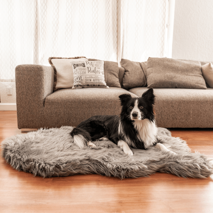 PupRug™ Faux Fur Charcoal Grey Orthopedic Dog Bed + FREE Red & Black Plaid Bed Cover、mySite、solidvoid