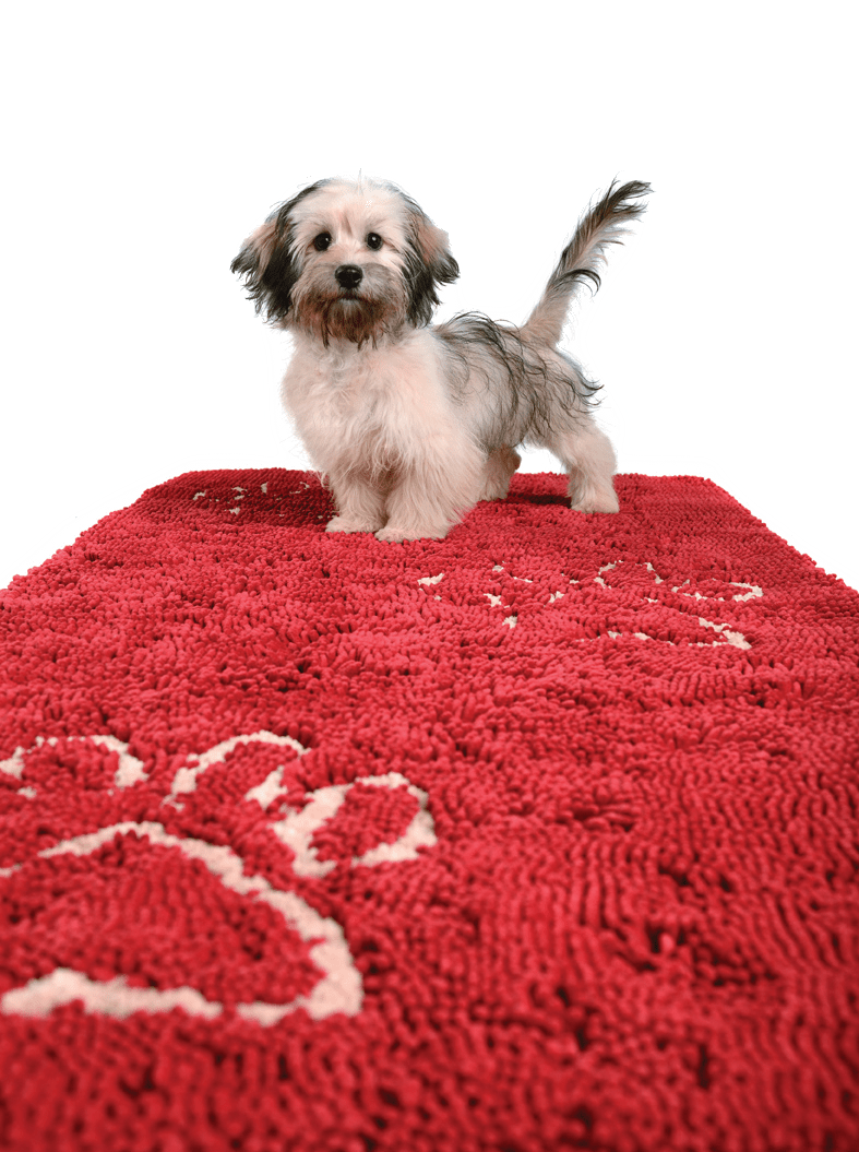 Dog Gone Smart - Dirty Dog Doormat Runners、mySite、g9winljtr