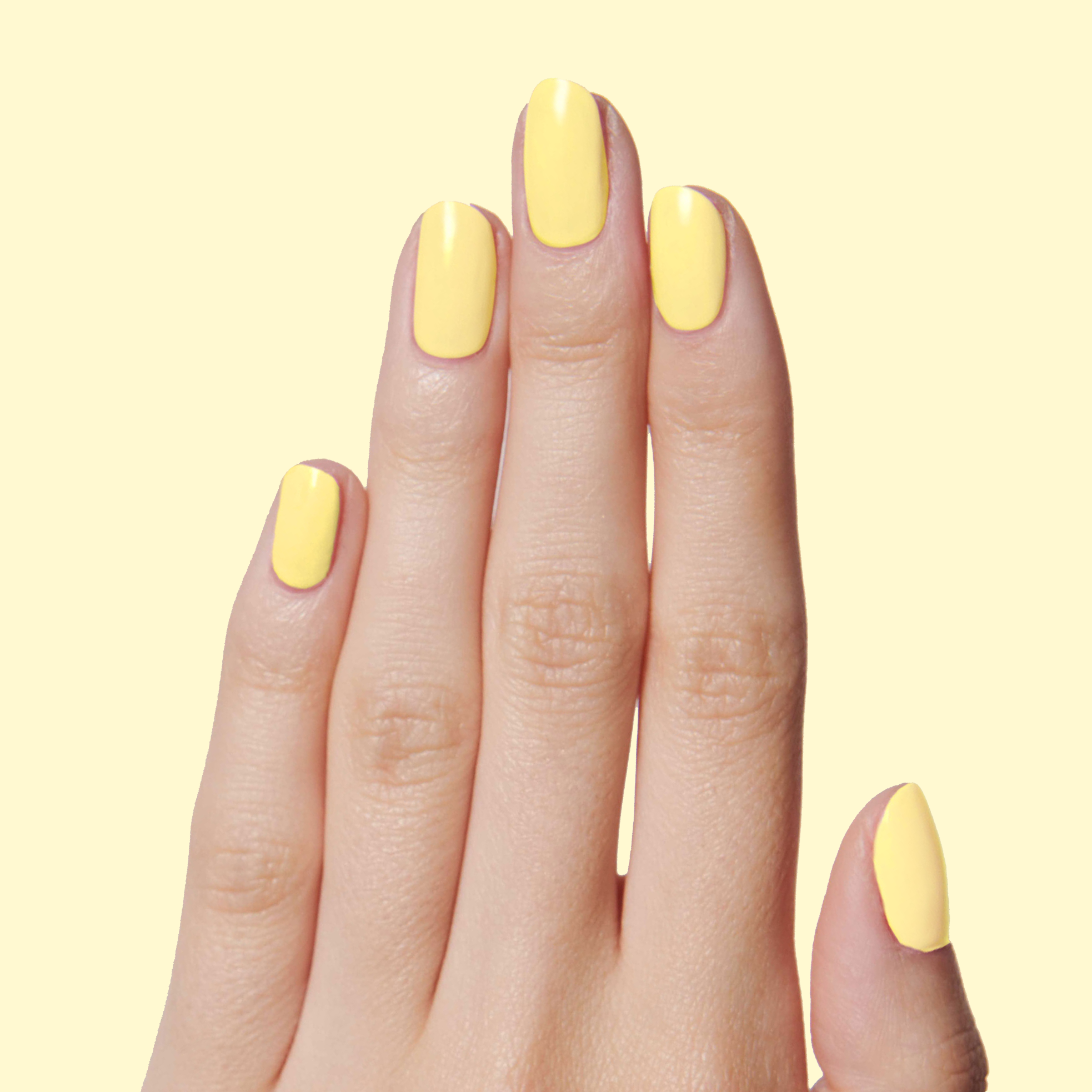 Bright & Focused、mySite、solidvoid