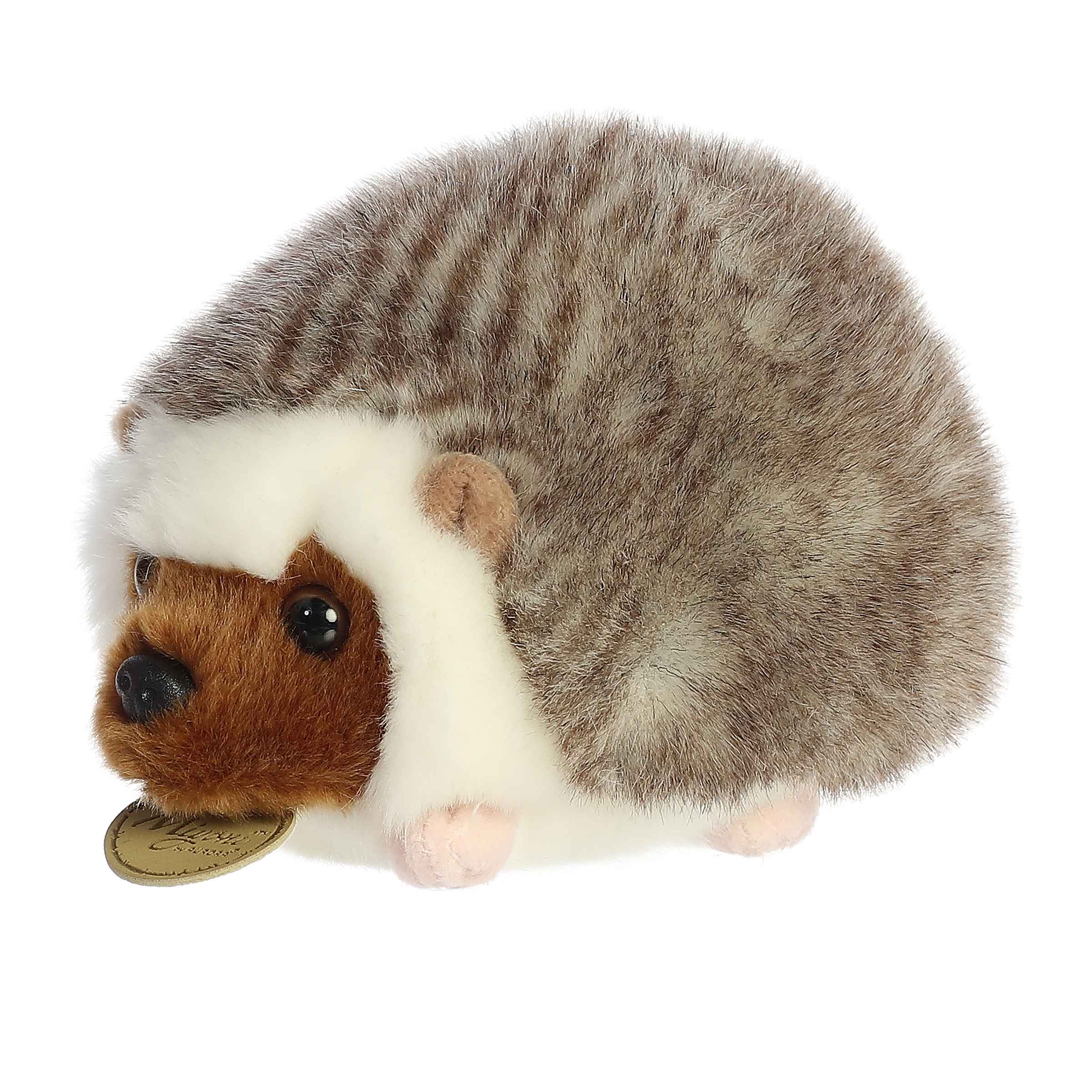 Aurora® - Miyoni® - 6.5 Hedgehog、mySite、g9winljtr