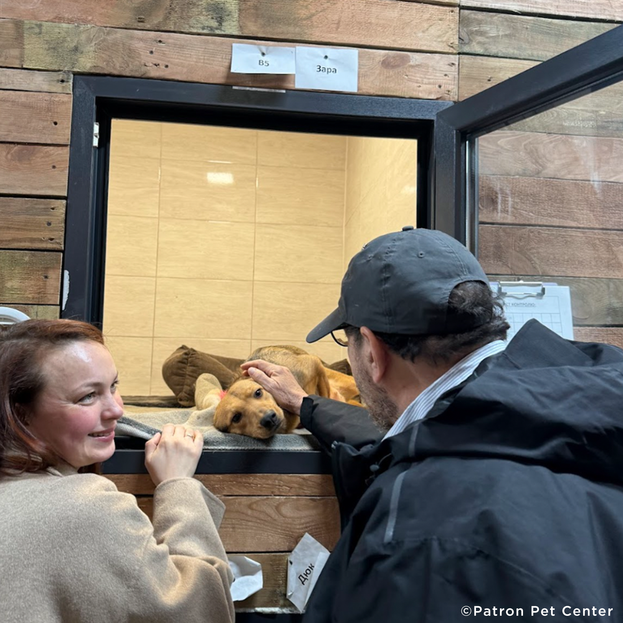 Traumatized Pets Abandoned in Ukraine Need a Safe Haven、mySite、camillekostekn