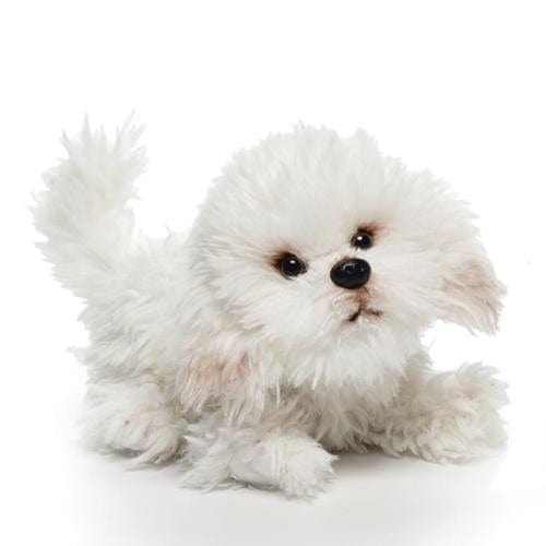 Plush Dogs: Bulldog, Bichon, French Bulldog Sitting Pose、mySite、g9winljtr