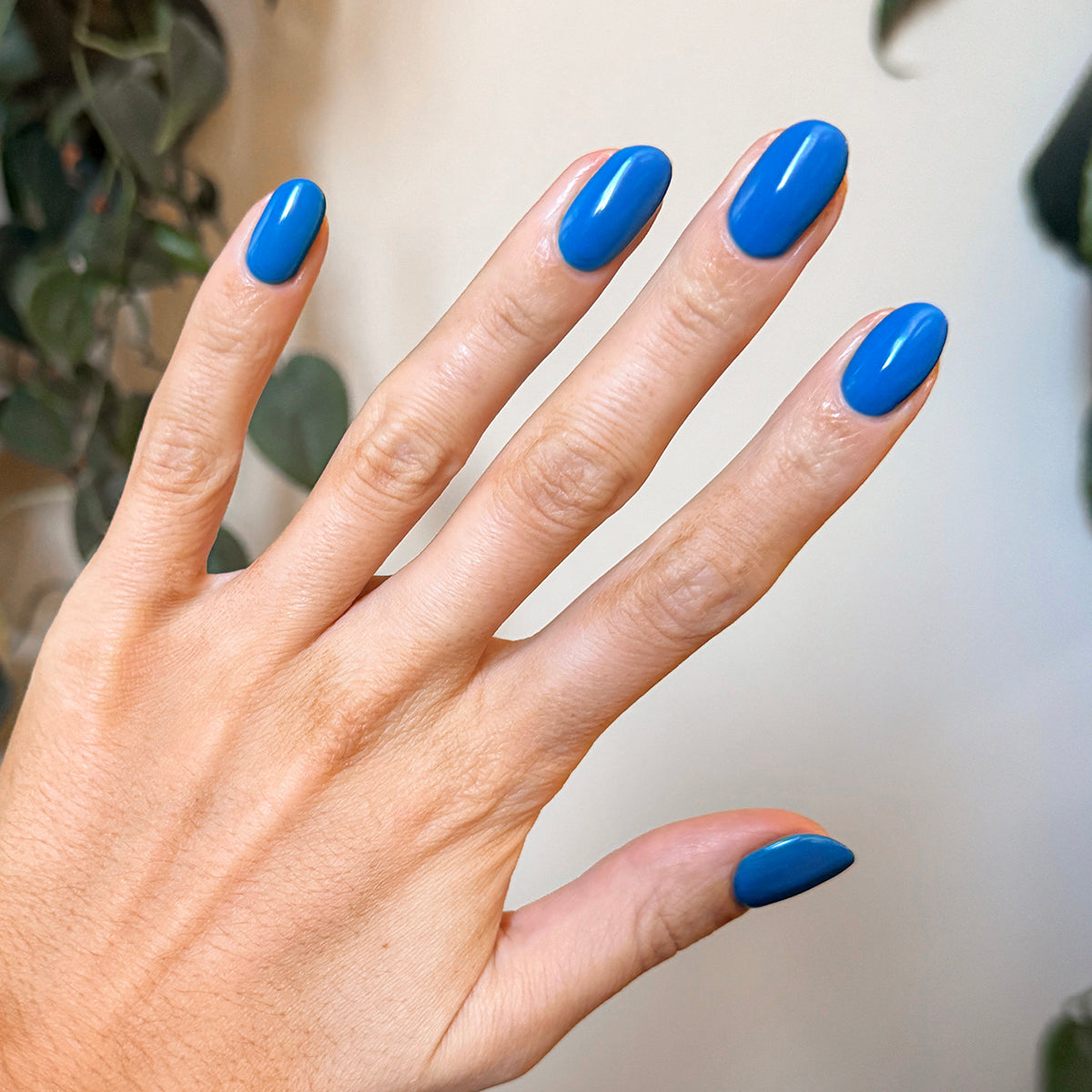 Emergency Pizza Mani Kit、mySite、solidvoid