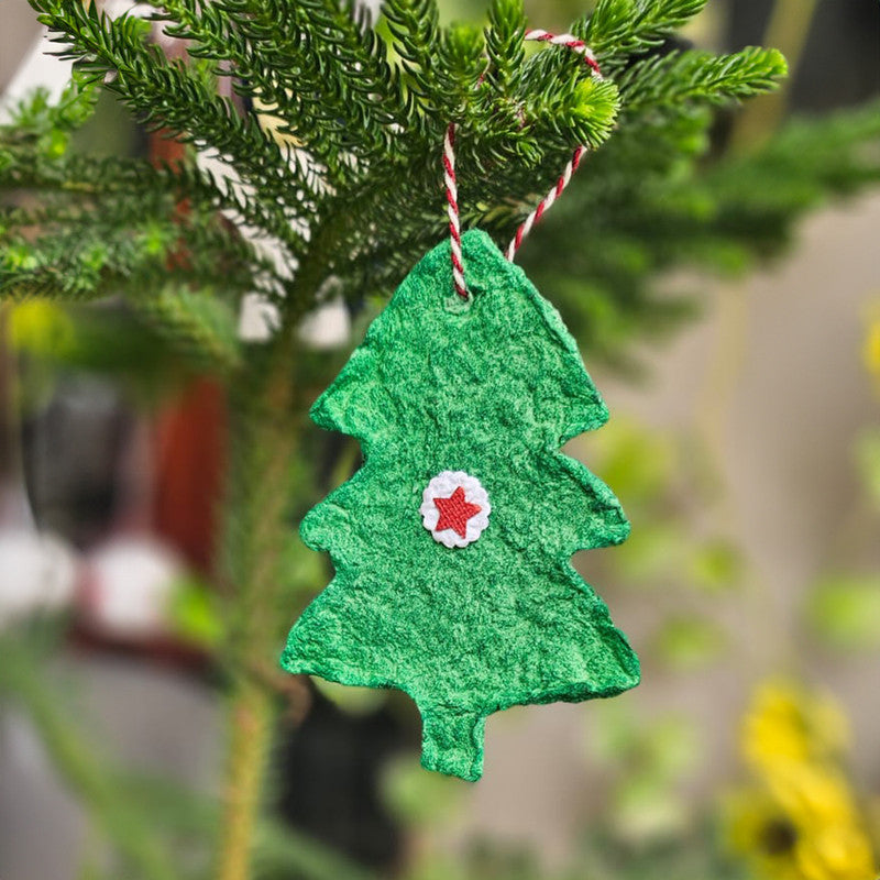 3D Christmas Decor | Plantable Christmas Oranaments | Pack Of 4、mySite、camillekostekn