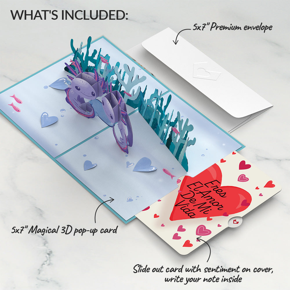 Love You A-Lotl Eres El Amor De Mi Vida Valentine Pop-Up Card and Sentiment Set、mySite、solidvoid
