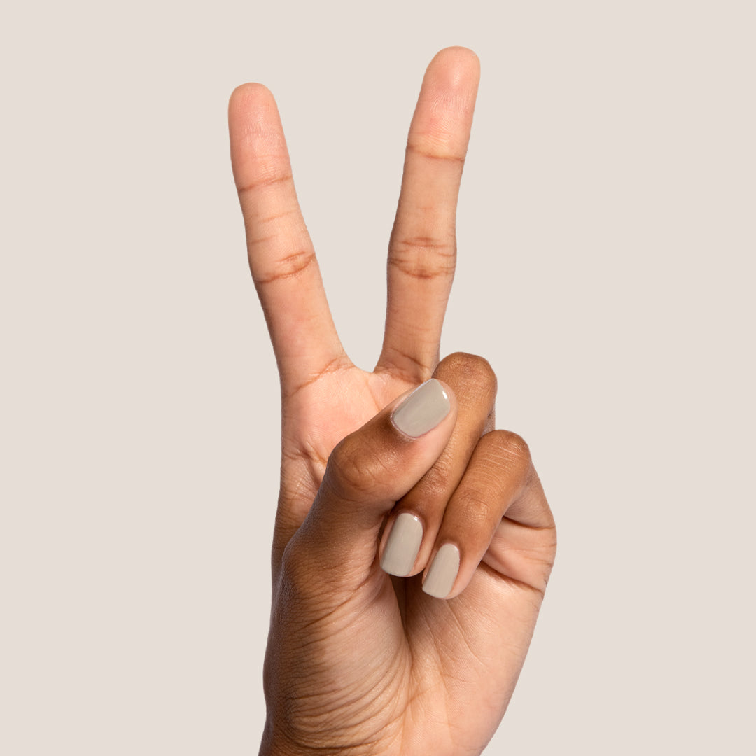 Koala、mySite、solidvoid