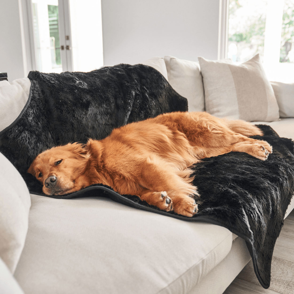 PupProtector™ Summer Short Fur Waterproof Throw Blanket - Midnight Black、mySite、solidvoid