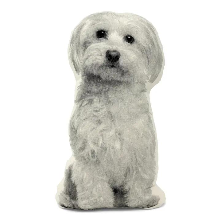 Maltese Pillow、mySite、g9winljtr