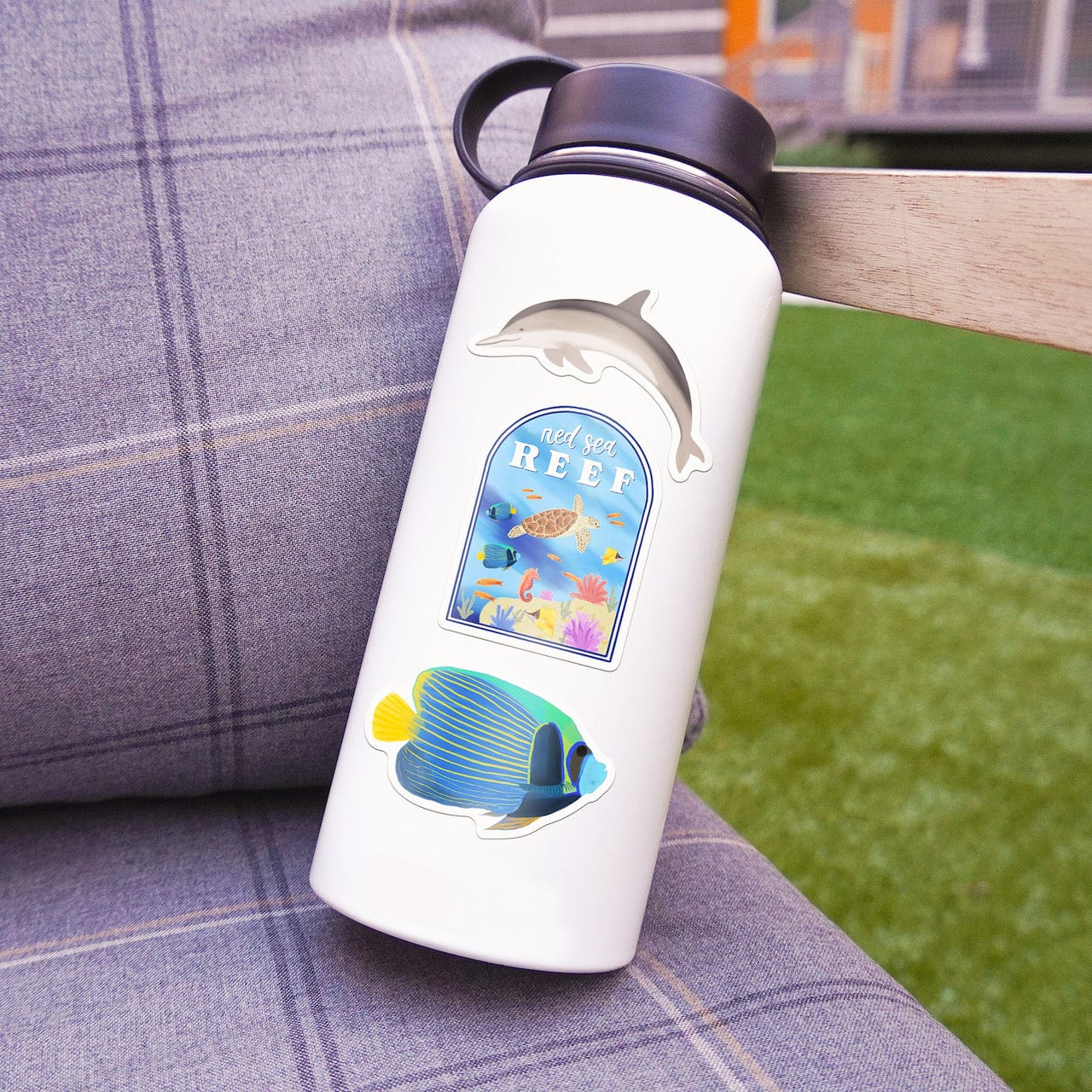  The Red Sea Ocean Animals 12-Pack、mySite、elrpsem3k