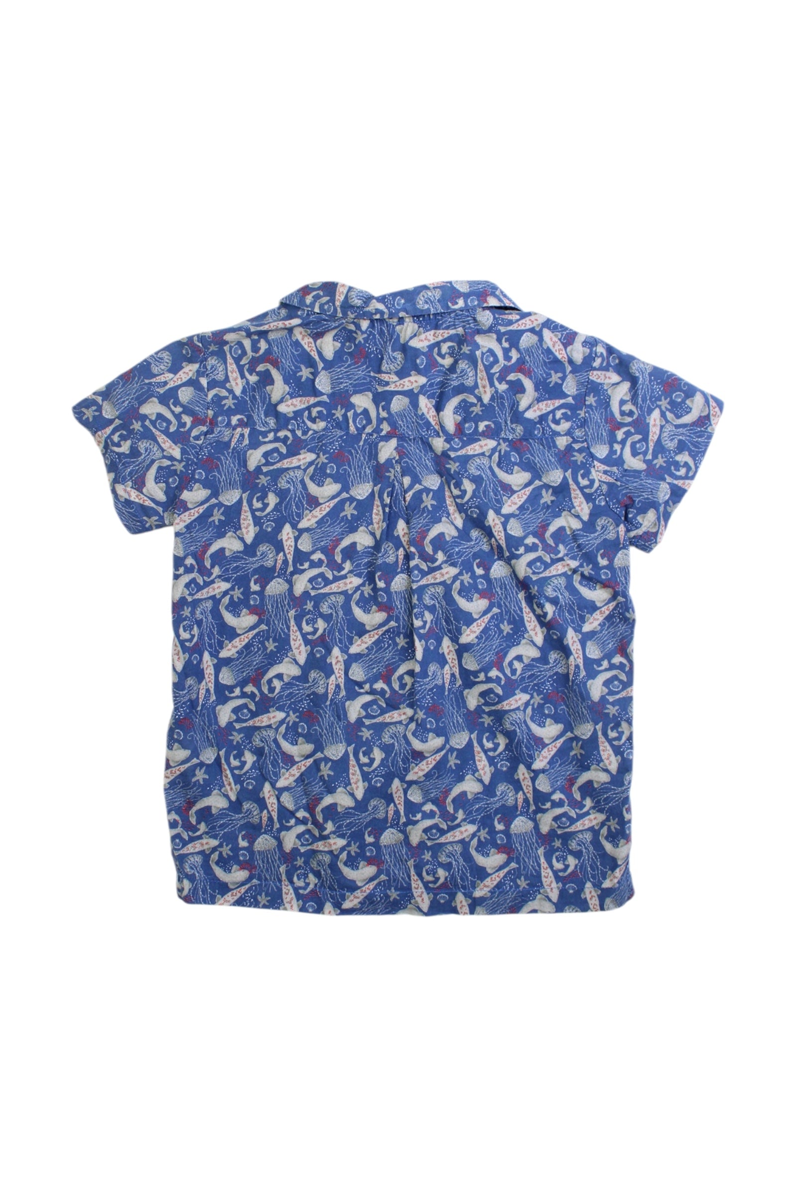 Ars猫ne Et Les Pipelettes Long Sleeve Animal Print Shirt Size 4T、mySite、g9winljtr