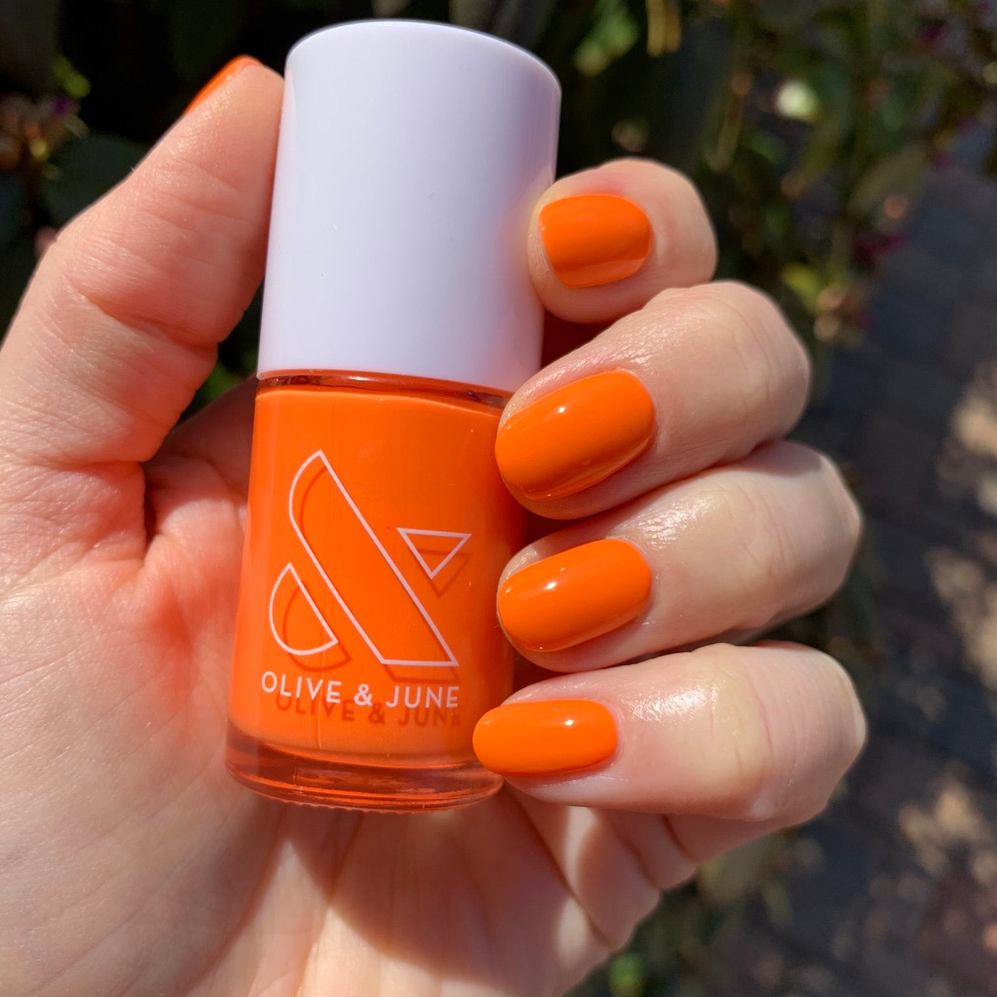 Orange Wedge、mySite、solidvoid