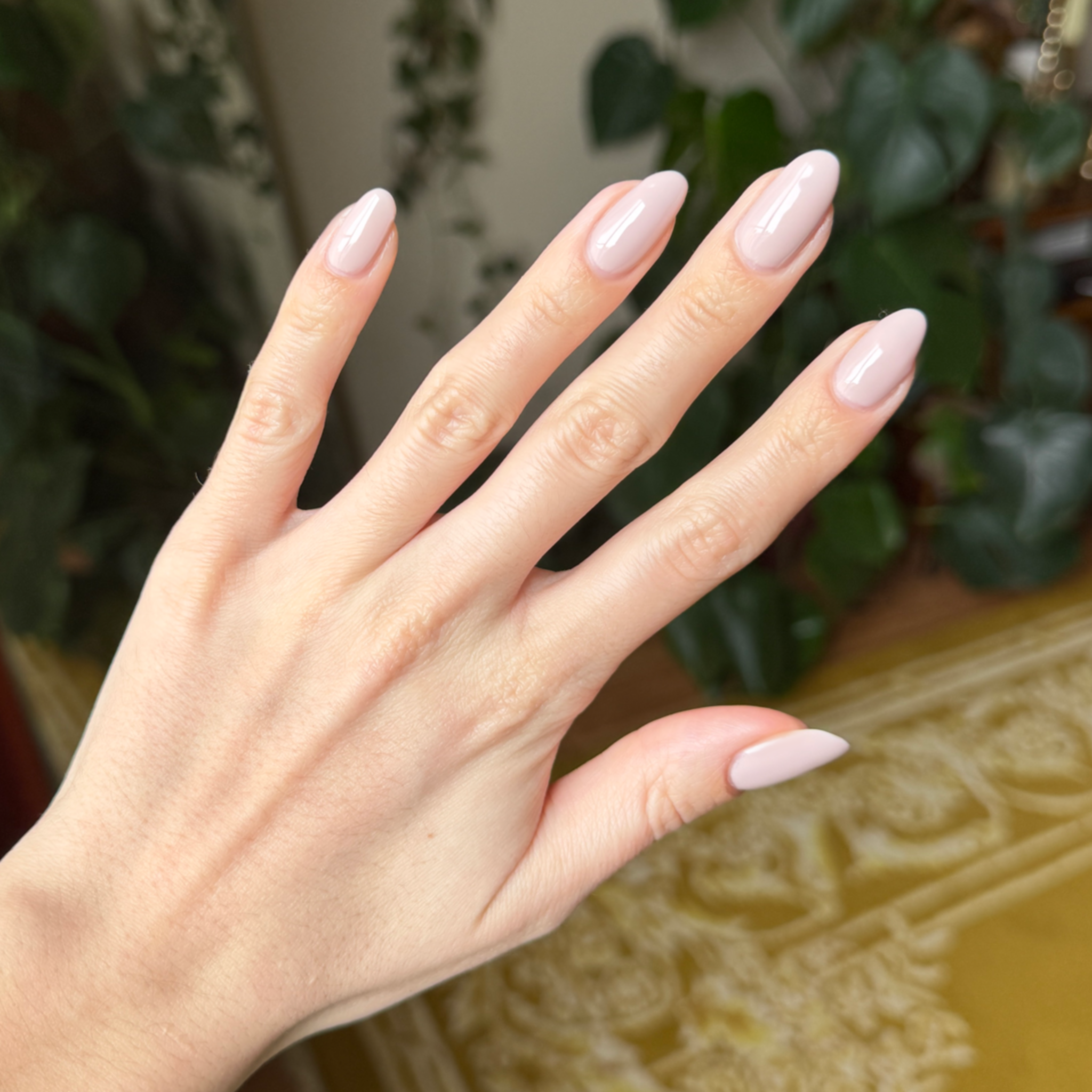 CDJ - Gel、mySite、solidvoid