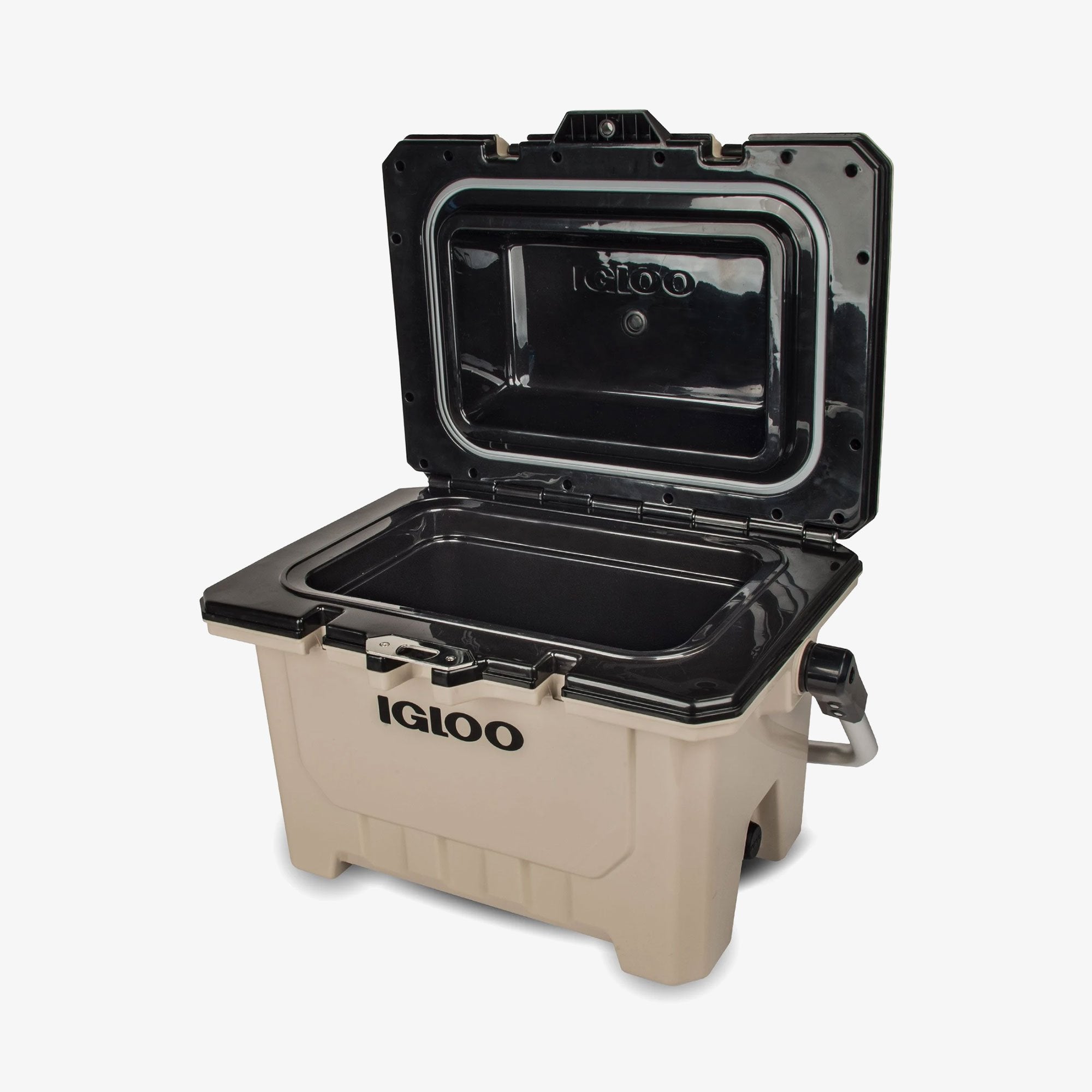 IMX 24 Qt Cooler、mySite、noshort