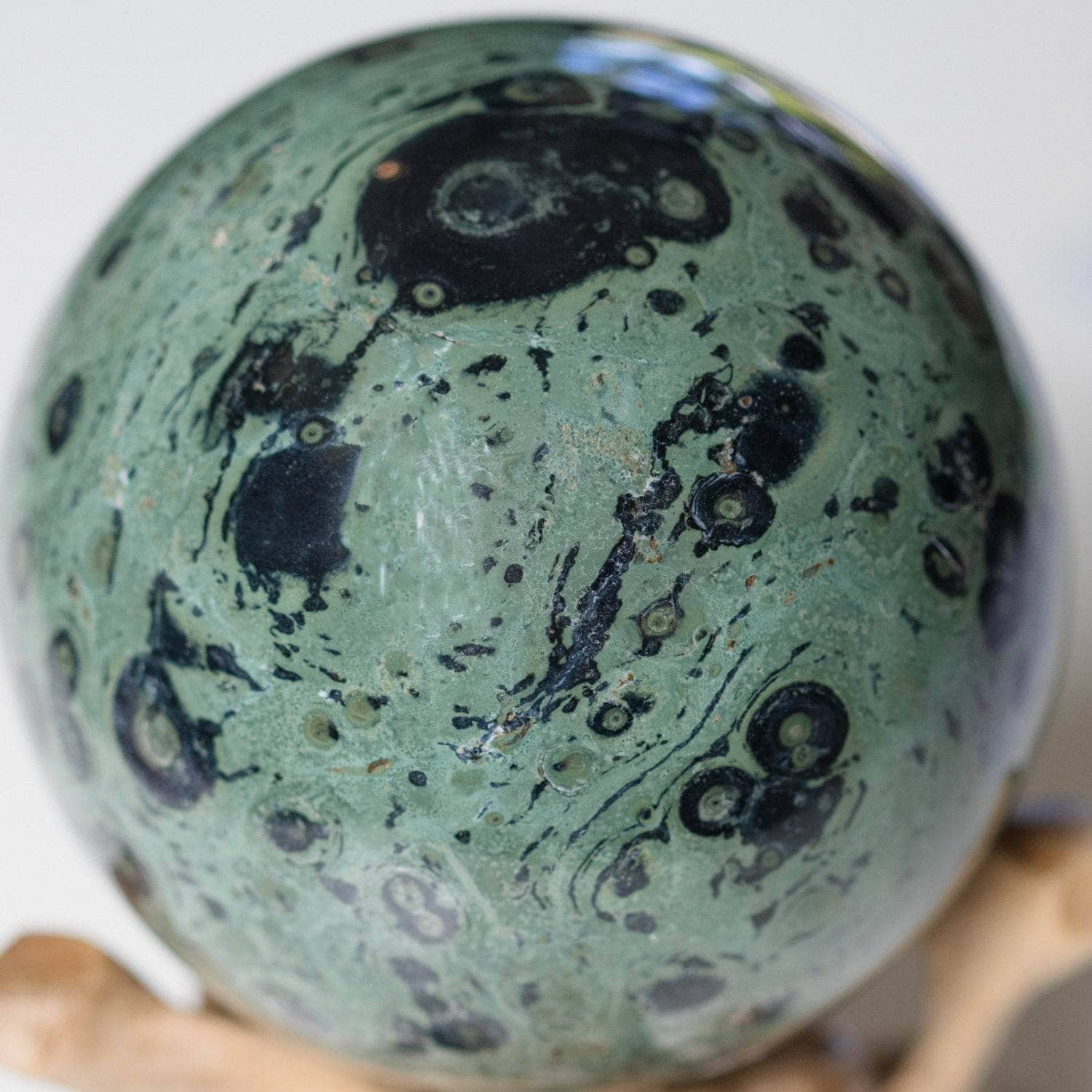 Kambaba Jasper Sphere - AAA Premium Quality、mySite、hinf8tx79