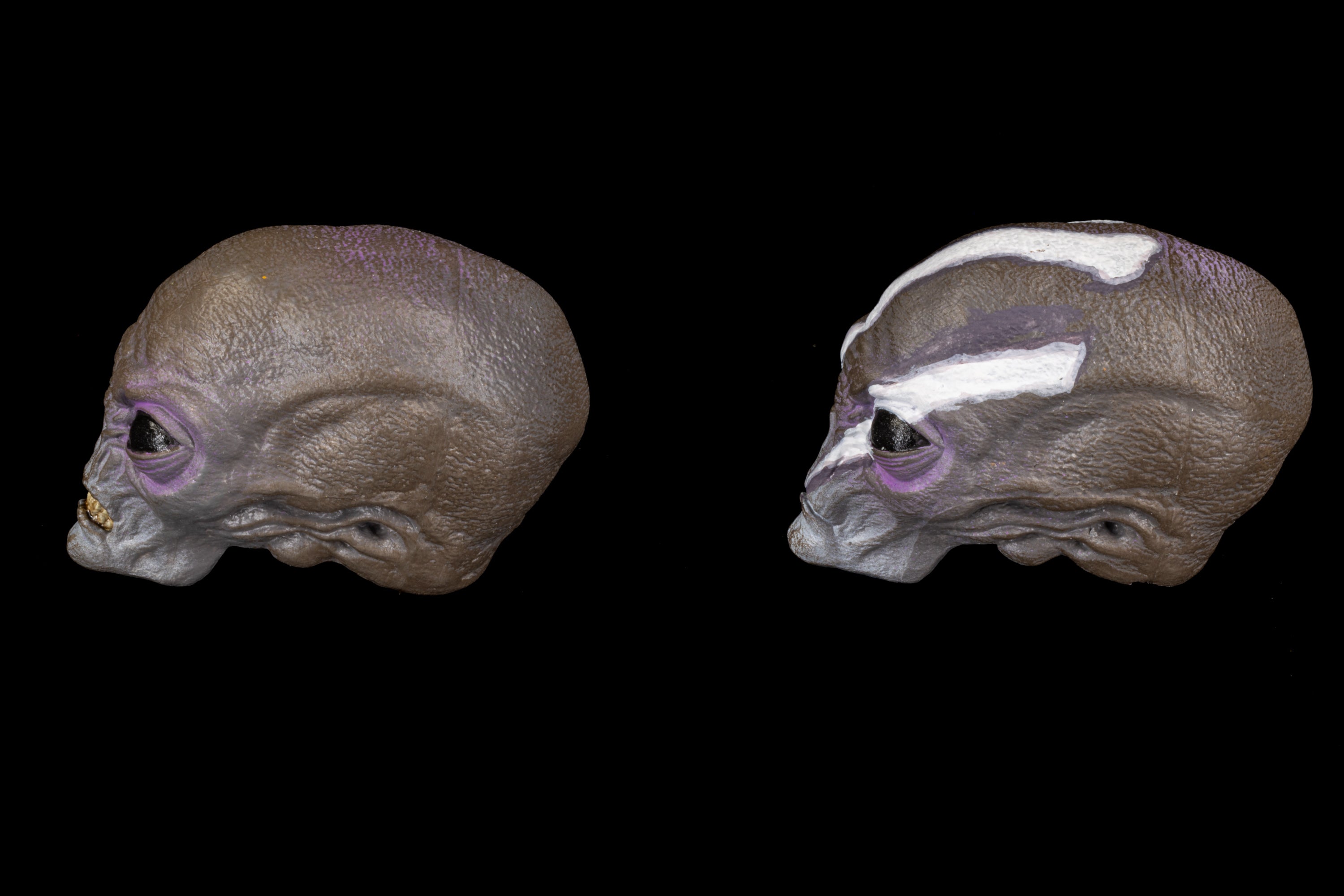 Cosmic Legions Greyborn Character Pack (Figure Not Included)、mySite、hgirdovlk