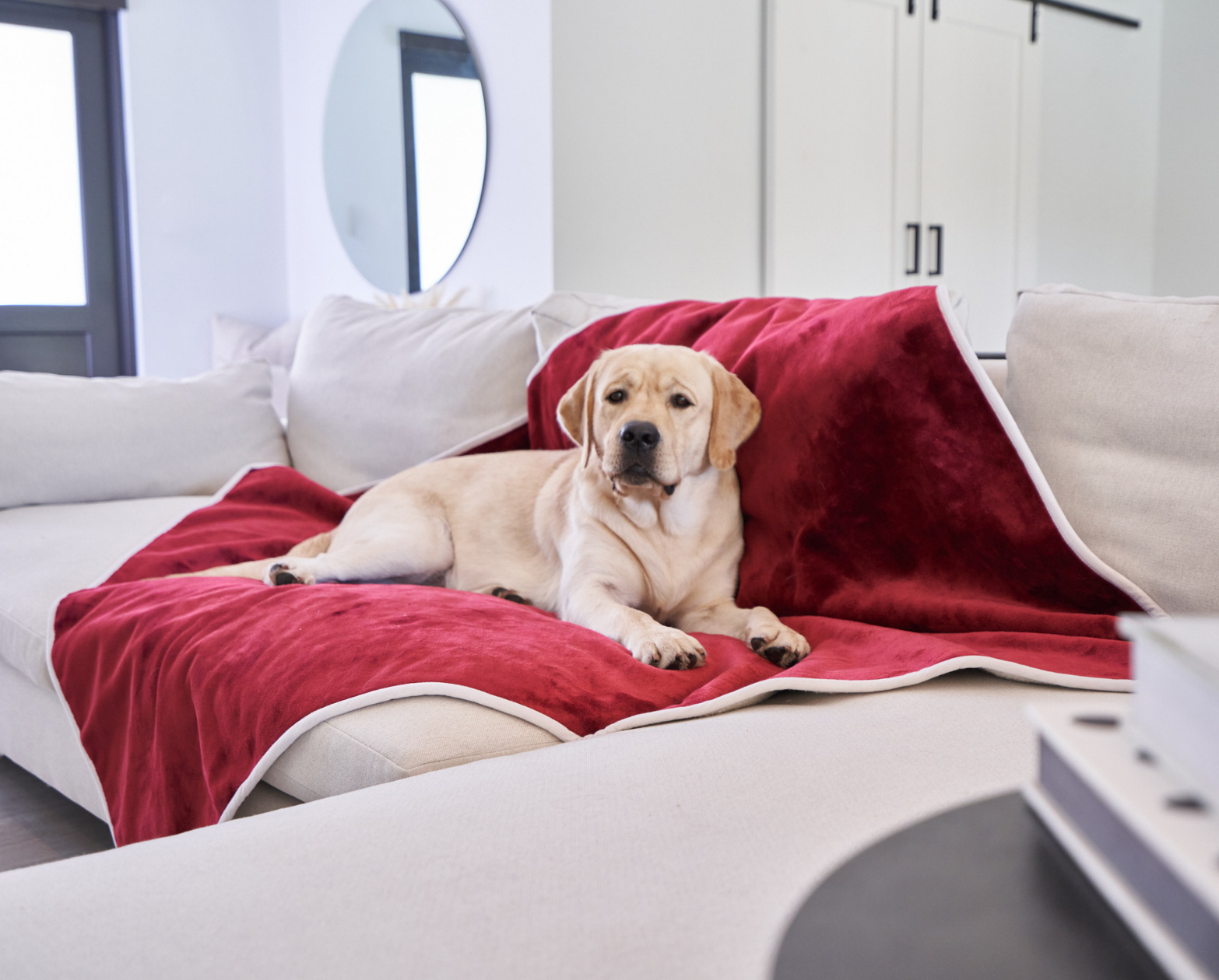 PupProtector™ Waterproof Throw Blanket - Red Velvet、mySite、solidvoid