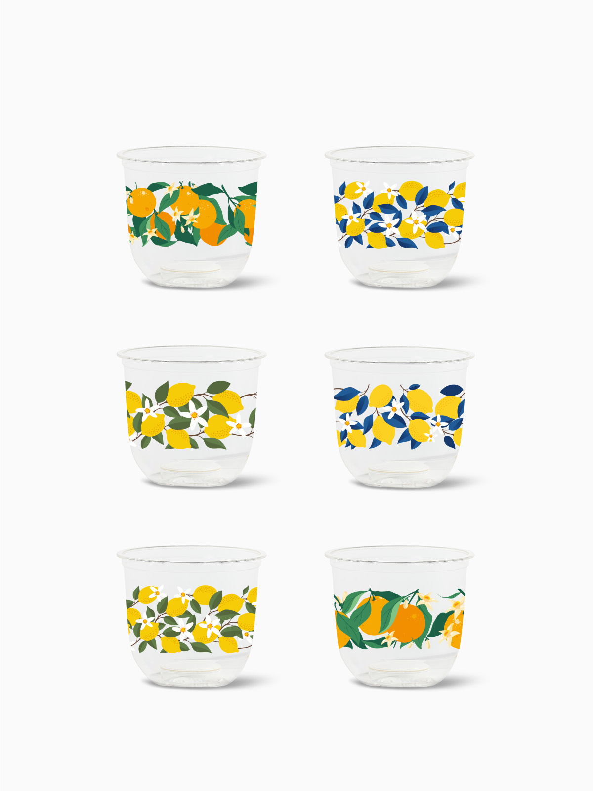 Citrus - NATURAL Arc 12oz、mySite、camillekostekn