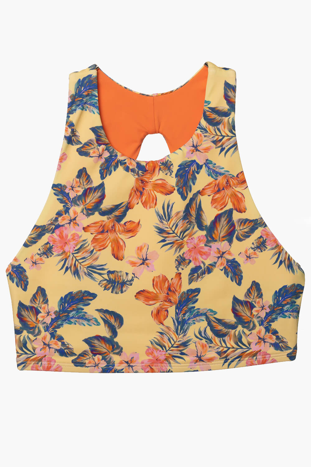  Gwen Bikini Top - Catalina Island、mySite、ashleygrahame