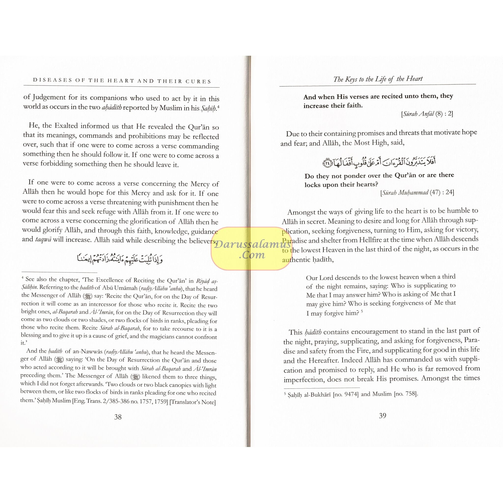 Diseases Of The Hearts & Their Cures By Shaykhul-Islam Ibn Taymiyyah、mySite、topwebapps