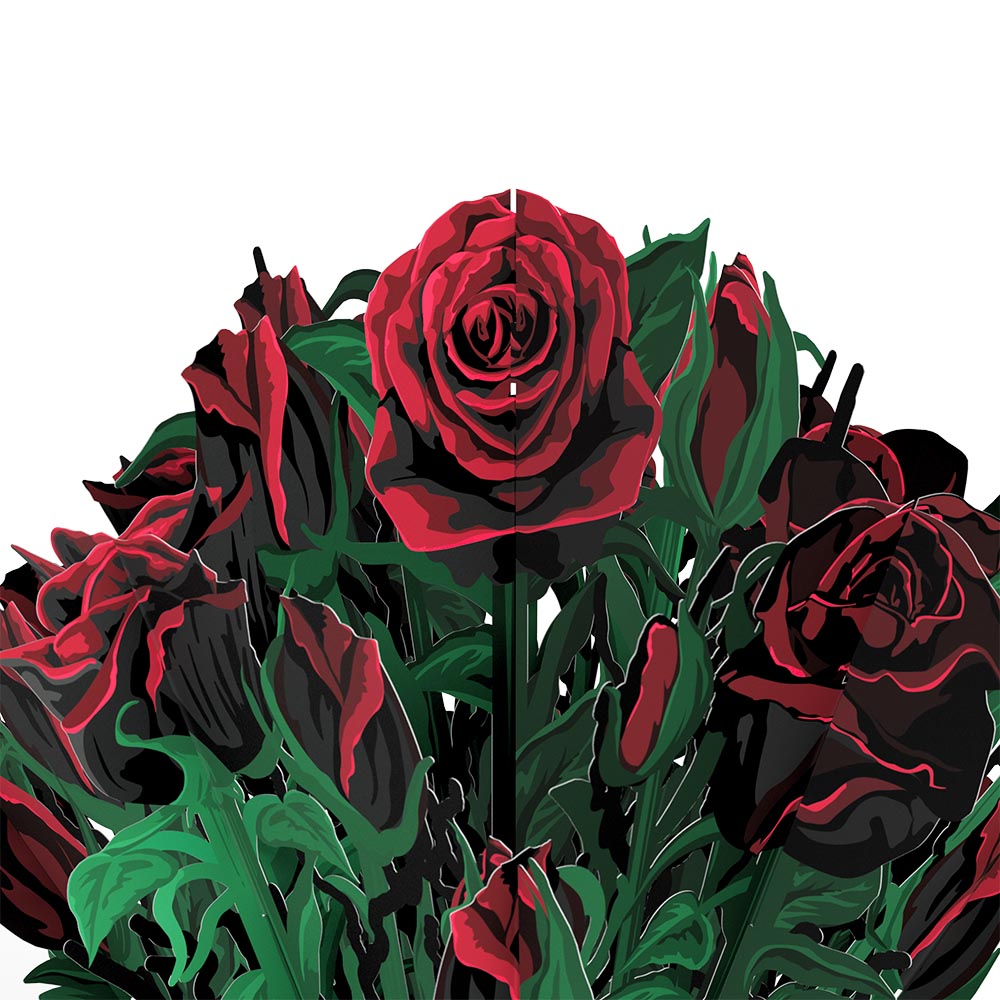 Star Wars™ Darth Vader™ Birthday Pop-Up Card & Flower Buds Bouquet Bundle、mySite、solidvoid