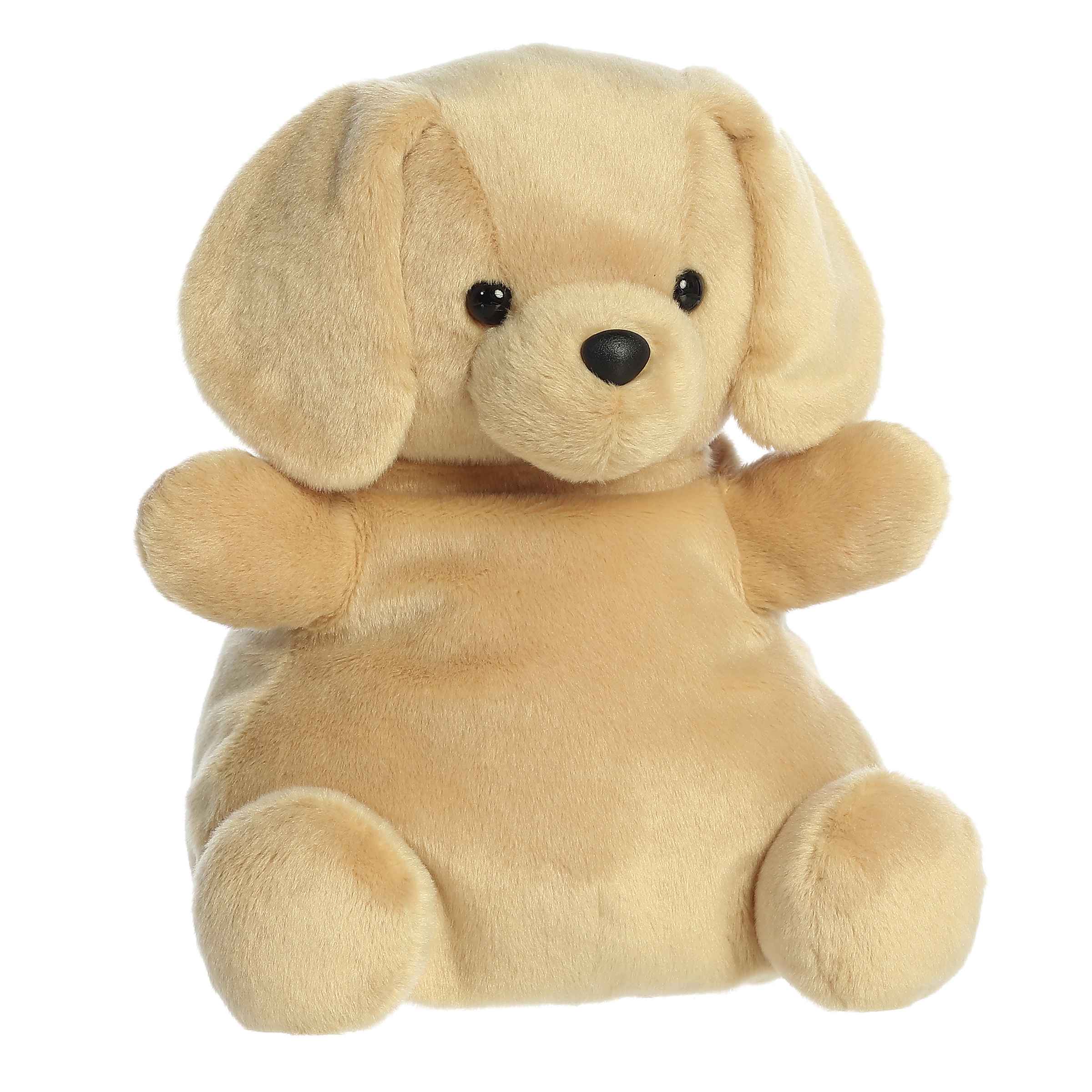 Aurora® - Palm Pals™ - Party Sized™ - 13 Sunny Lab™、mySite、g9winljtr