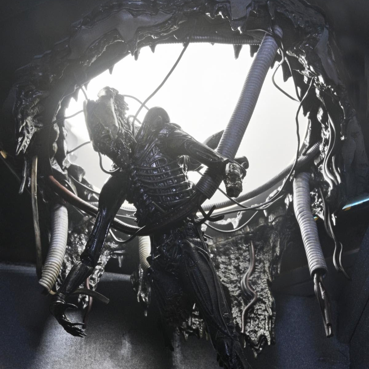 NECA Alien: Romulus Deluxe Suspended Lab Xenomorph XX121、mySite、hgirdovlk