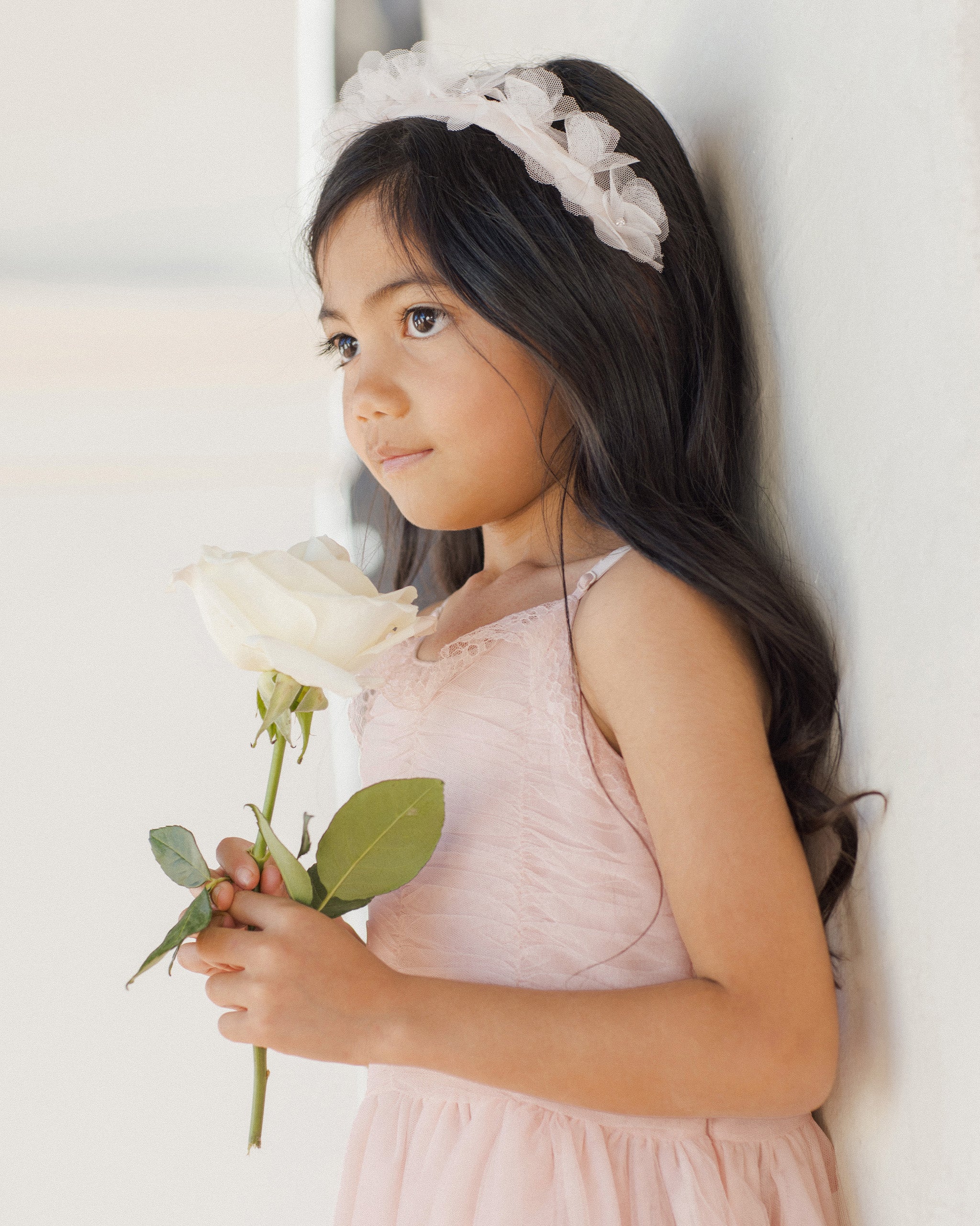  Audrey Dress | Blush、mySite、layawaytickets