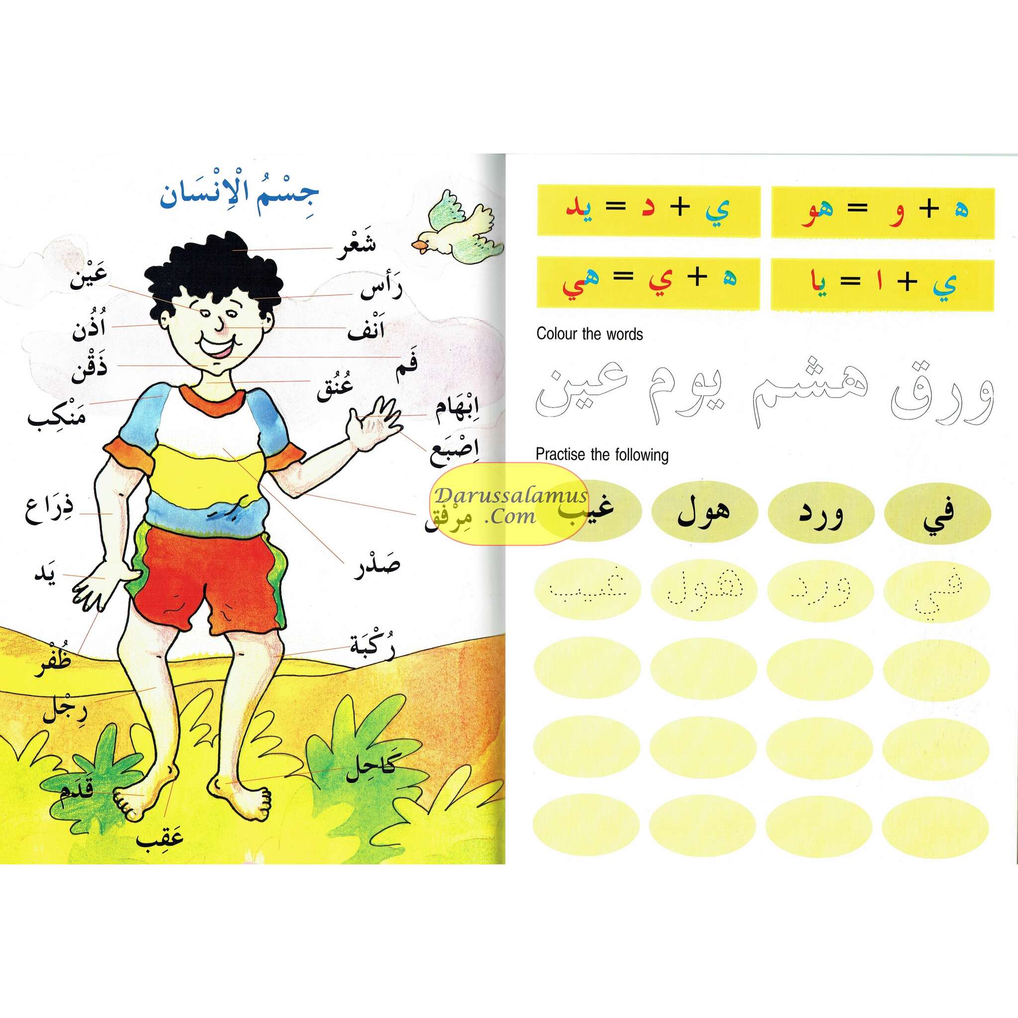 Arabic For Beginners By Mohammad Imran Erfani、mySite、topwebapps