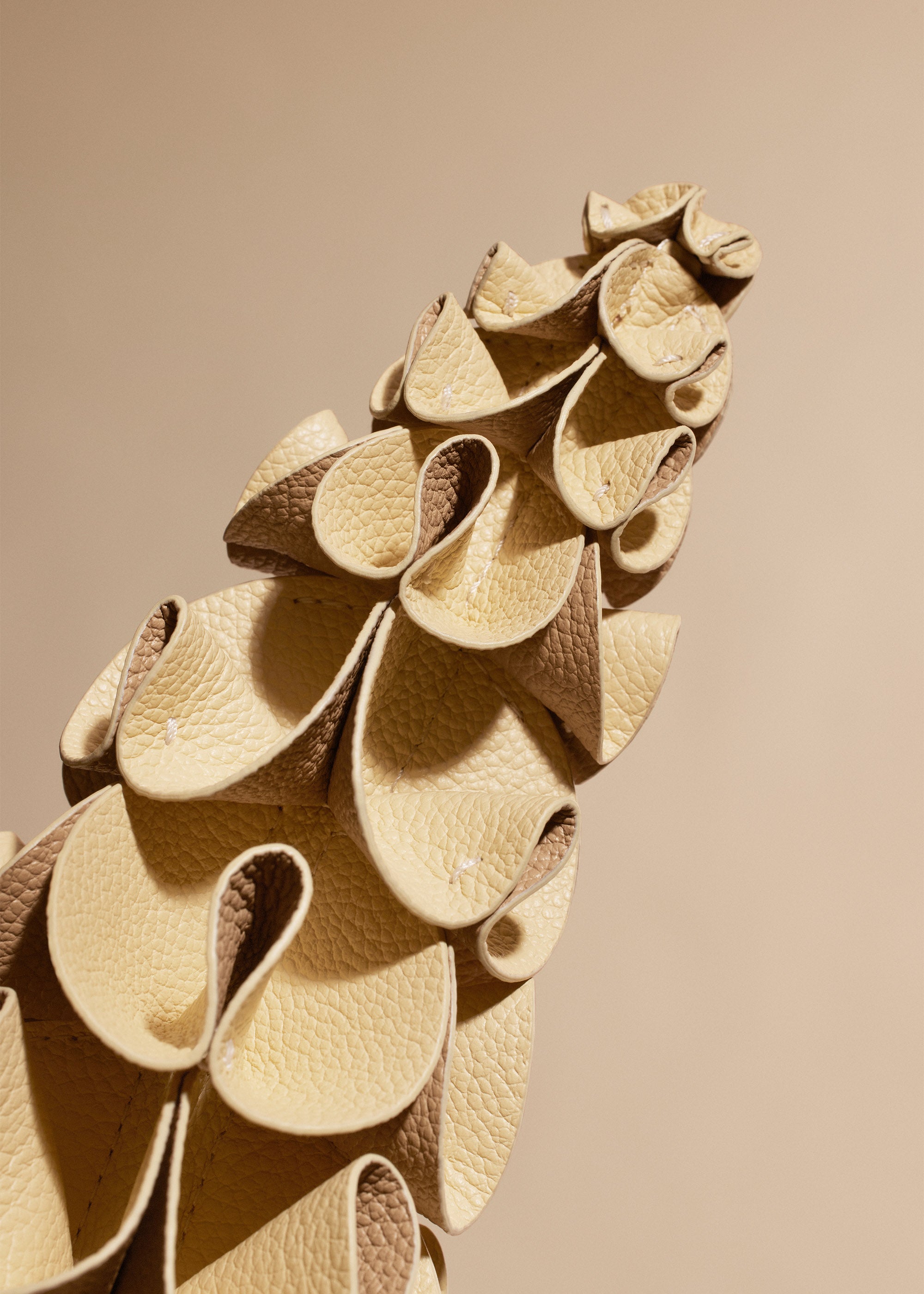 Fleur Orki - Duo Bl茅 Grain茅、mySite、camillekostekn