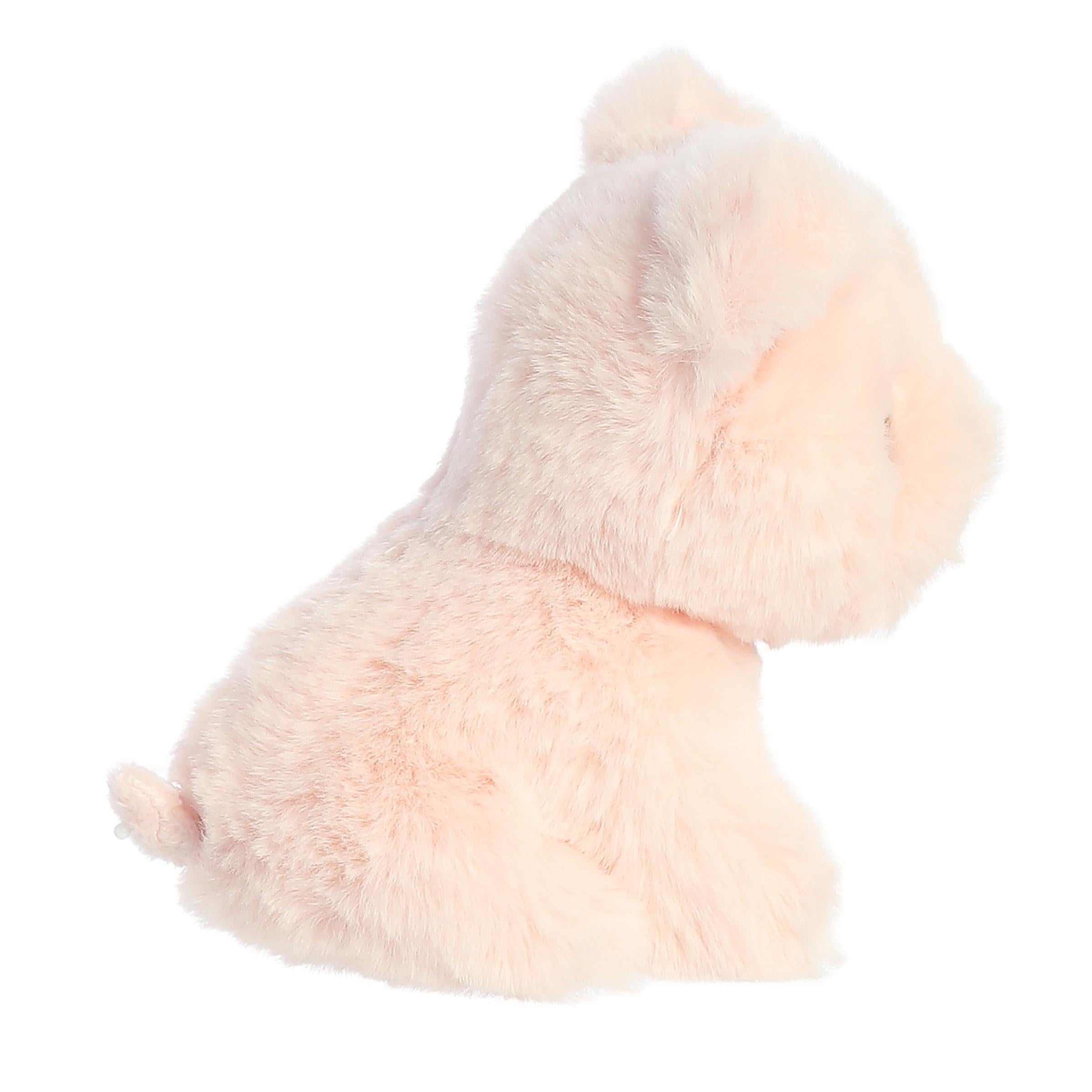 Aurora® - Eco Nation™ - 5 Mini Pig、mySite、g9winljtr