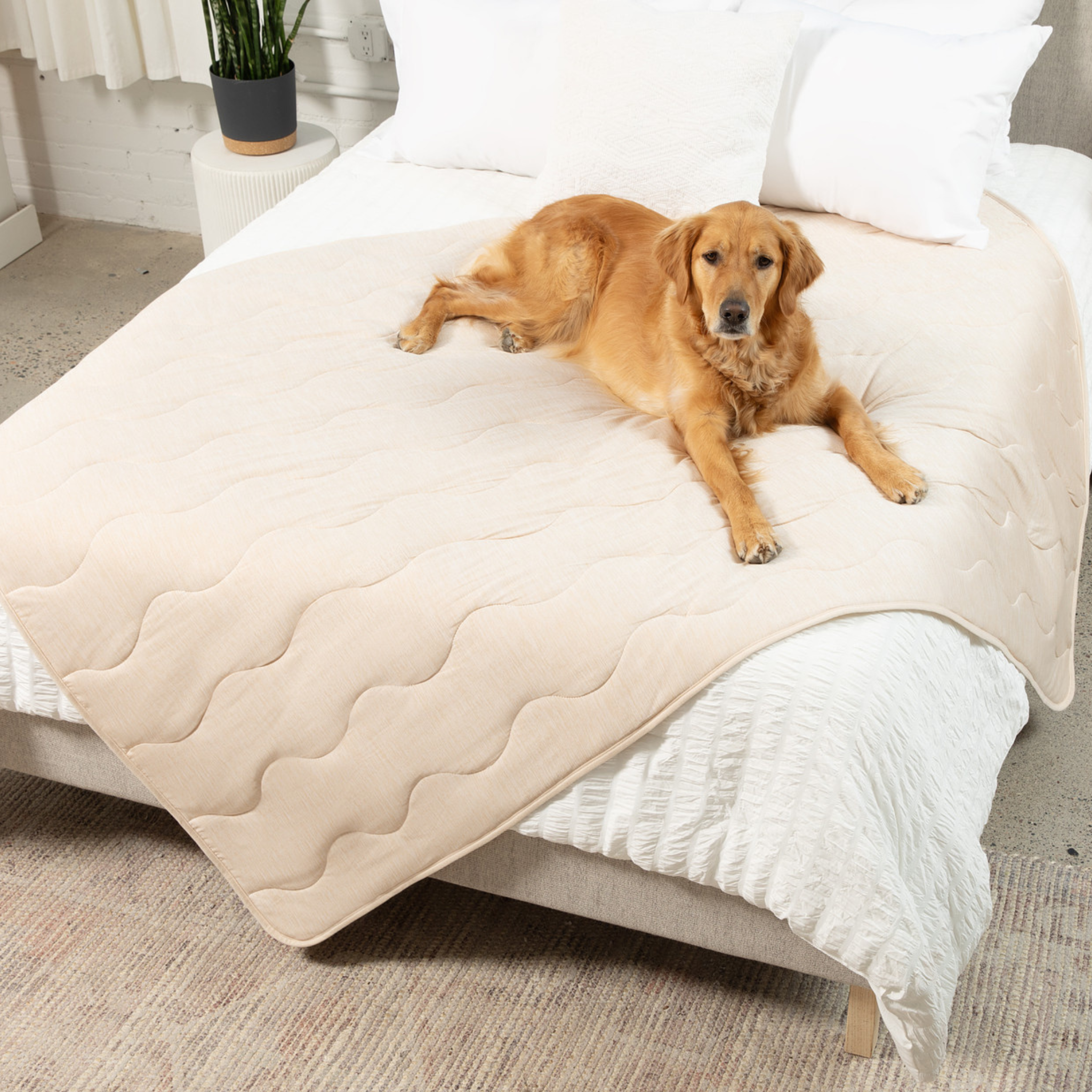 PupChill™ Cooling Waterproof Blanket - Arctic Sand、mySite、solidvoid