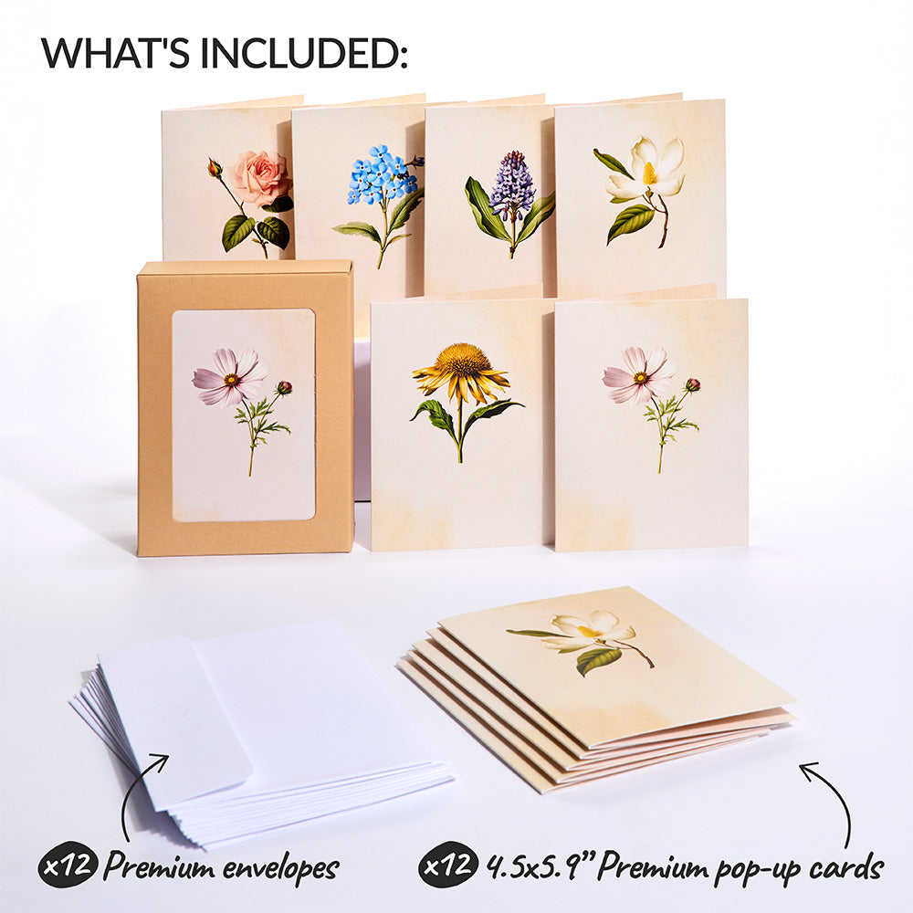 Beautiful Botanicals Box Set (Assorted 12-Pack): Paperpop® Card、mySite、solidvoid