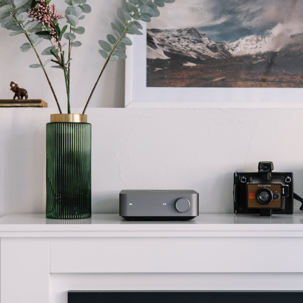  WiiM - Amp / Amp Pro、mySite、merchandisen