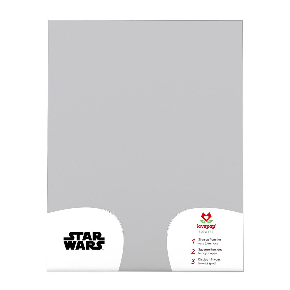 Star Wars™ Death Star™ Love Explosion Bouquet、mySite、solidvoid