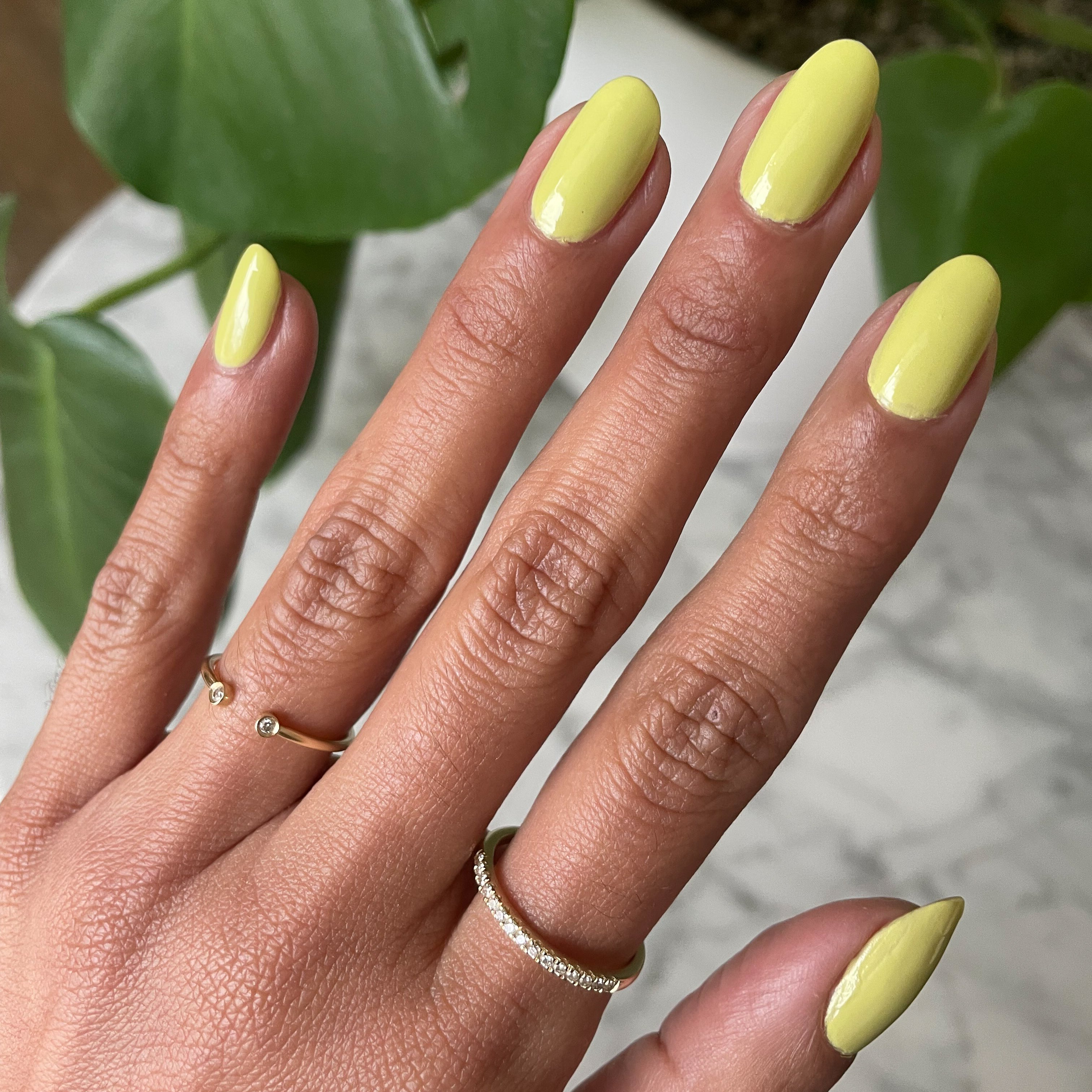 Not Kale、mySite、solidvoid