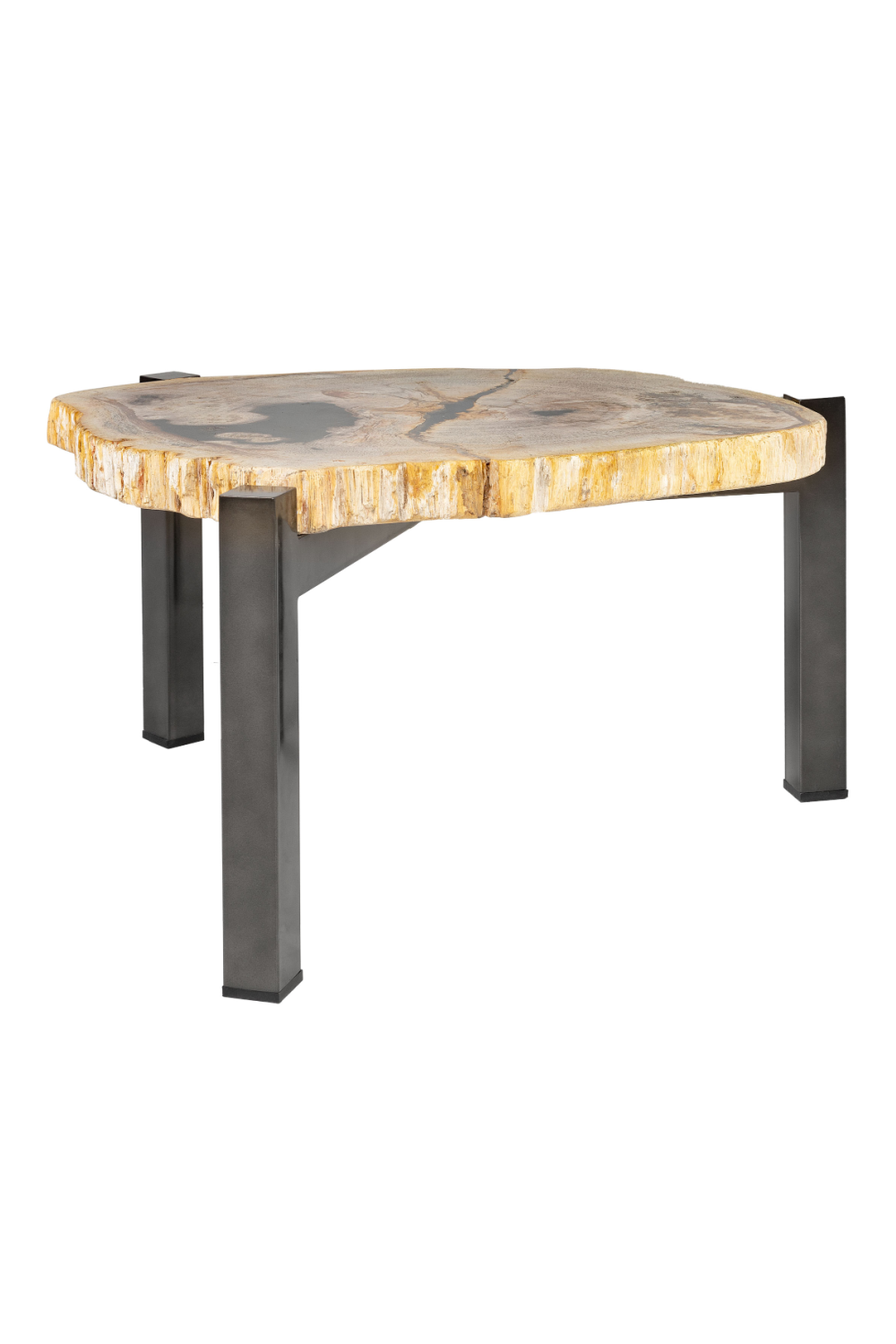 Petrified Wood Nested Coffee Tables (3) | Versmissen、mySite、neckold