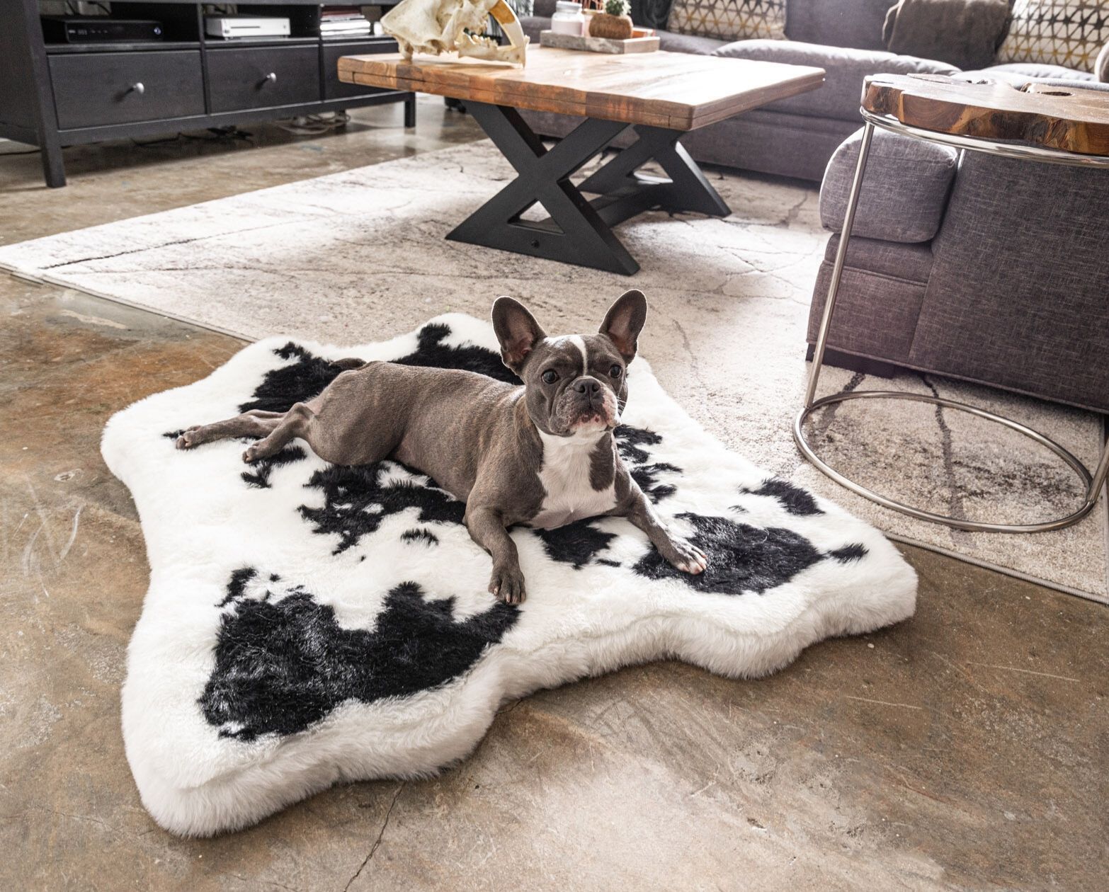 PupRug™ Animal Print Memory Foam Dog Bed - Black Faux Cowhide、mySite、solidvoid