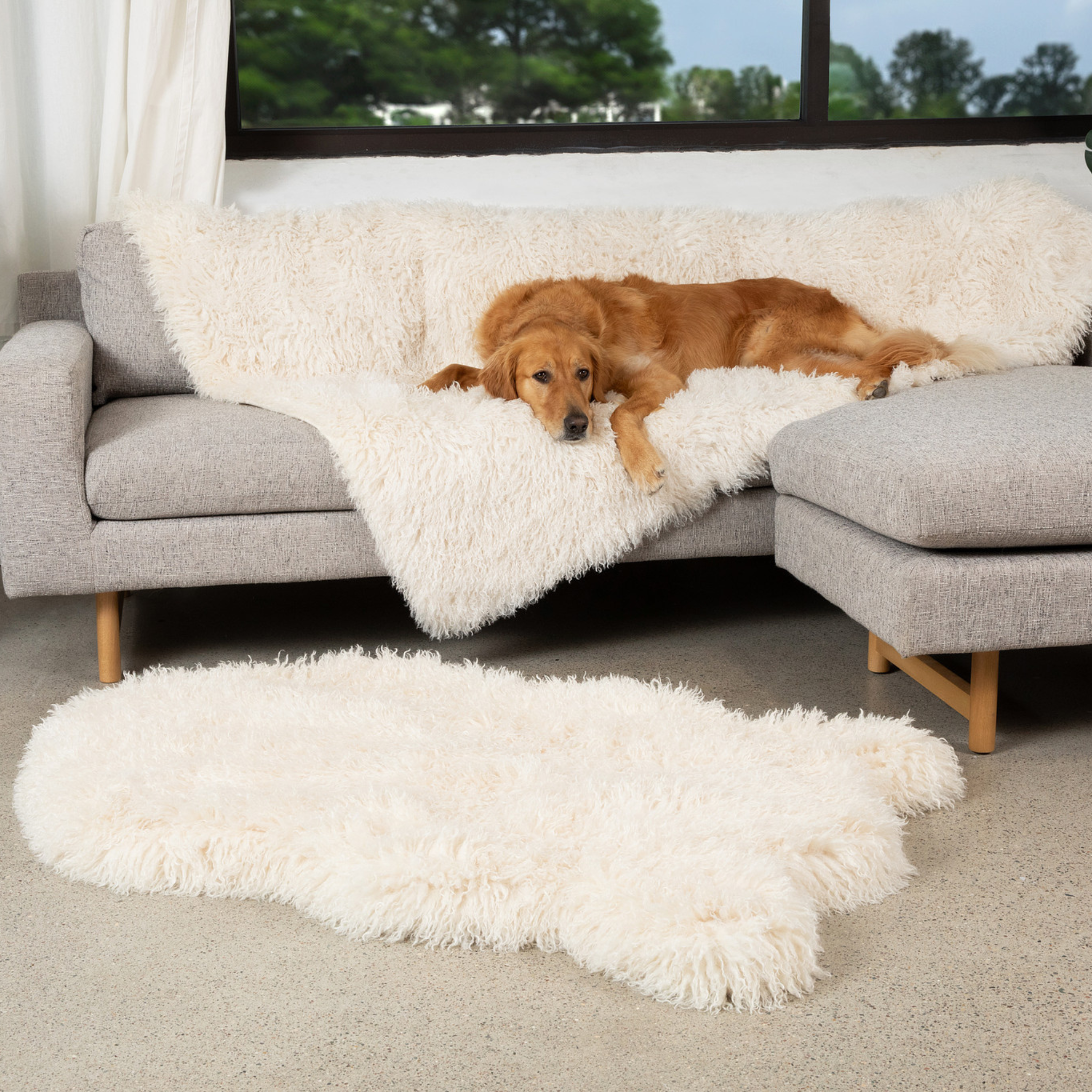 PupRug™ Luxe Orthopedic Bed + Matching Waterproof Blanket Bundle - Plush Sheep Ivory、mySite、solidvoid