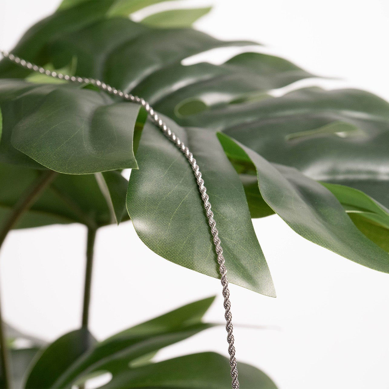 Stainless Steel Rope Chain Necklace / CHN9700、mySite、dreamappss