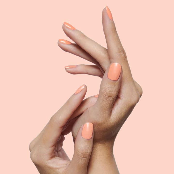 Wild & Free、mySite、solidvoid