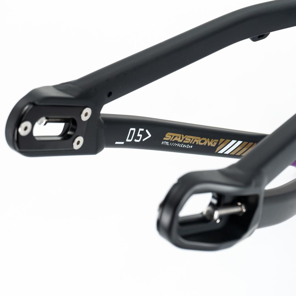  Stay Strong For Life V5 Mini Frame 2025、mySite、merchandisen