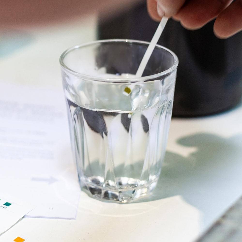 Peak Water Filter UK Starter Pack、mySite、gigharbornorthrealestate