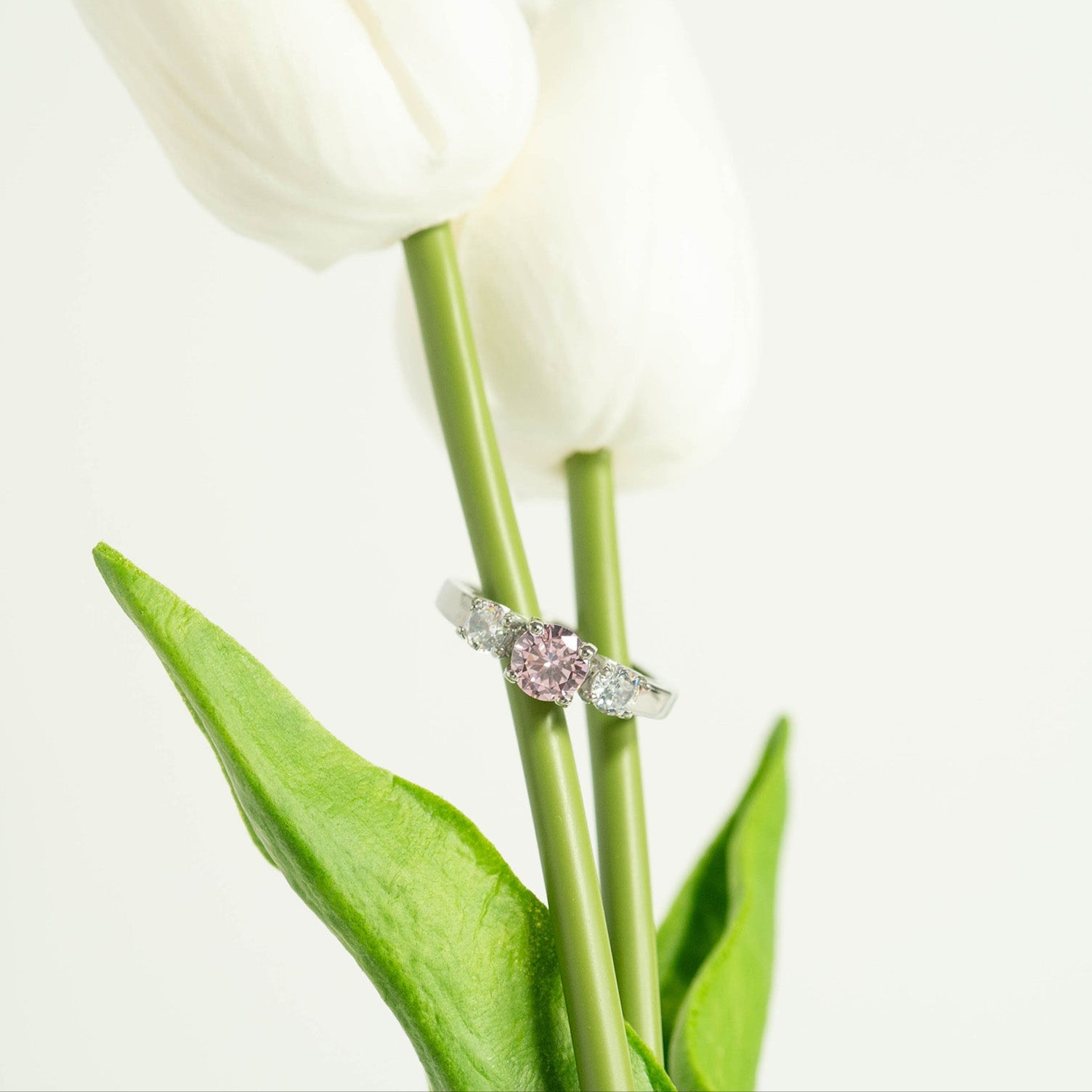 Stainless Steel CZ Accent Birthstone Ring / ZRJ4138、mySite、dreamappss